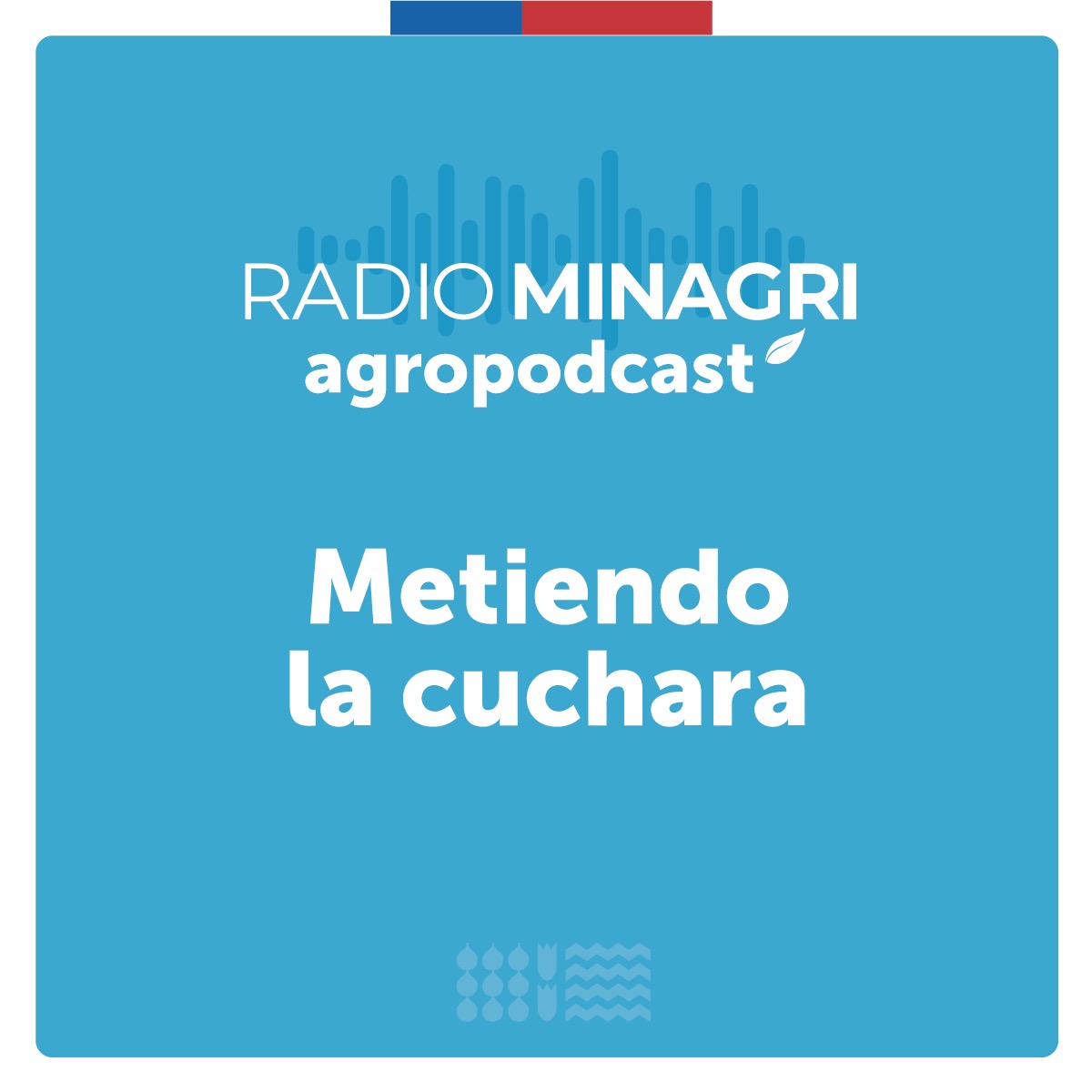 Metiendo la cuchara – Episodio 92: Caldos y sopas: cocina que abriga