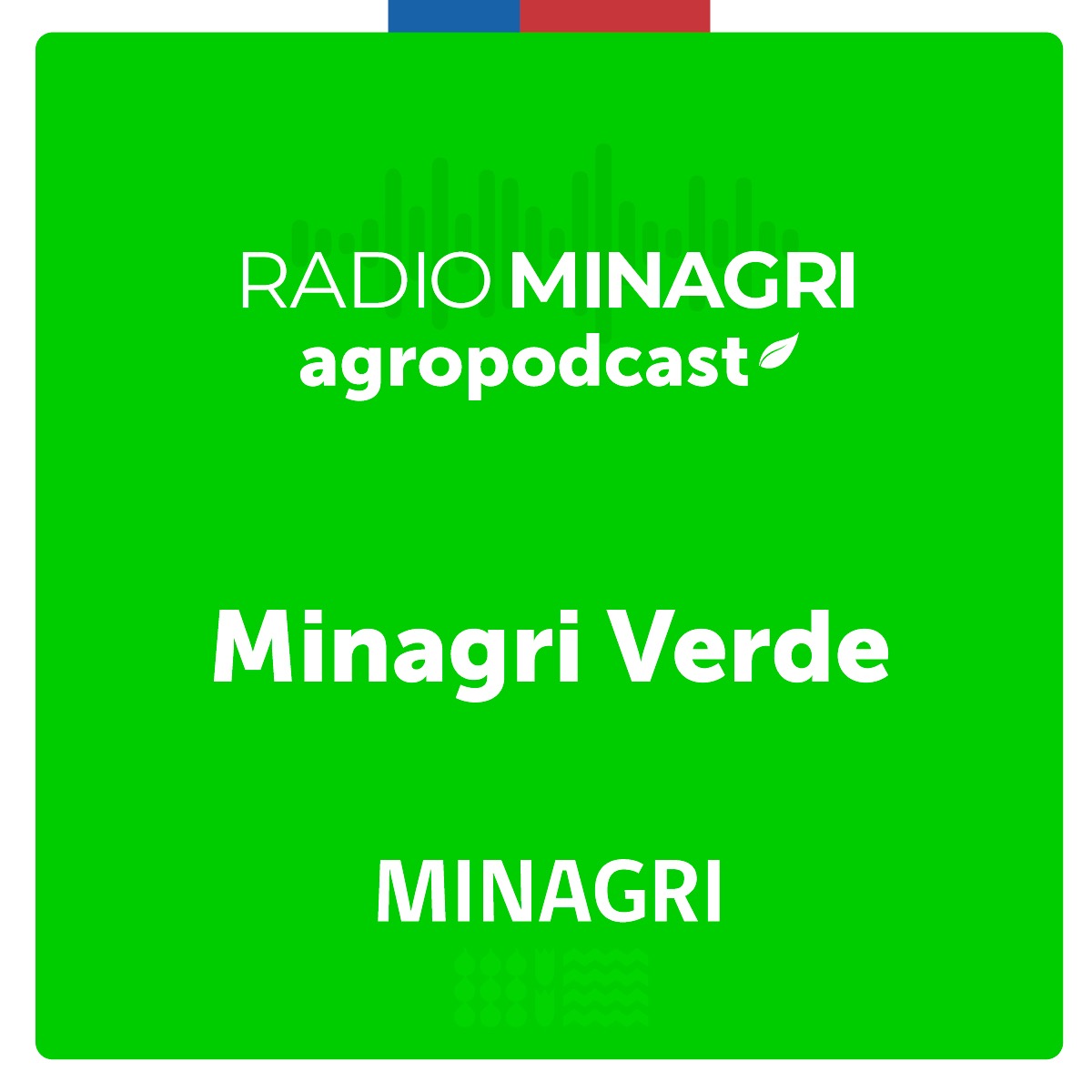 Minagri verde – Episodio 1: ¿Cómo podemos usar el papel de manera eficiente?
