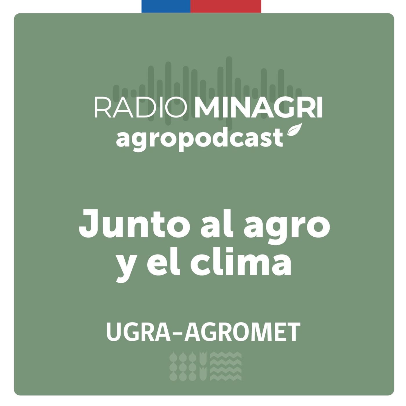 Junto al agro y el clima – Episodio 30: Diego Bustos detalla las diferencias climáticas y estrategias productivas de la industria vitivinícola de Australia y Chile episode artwork