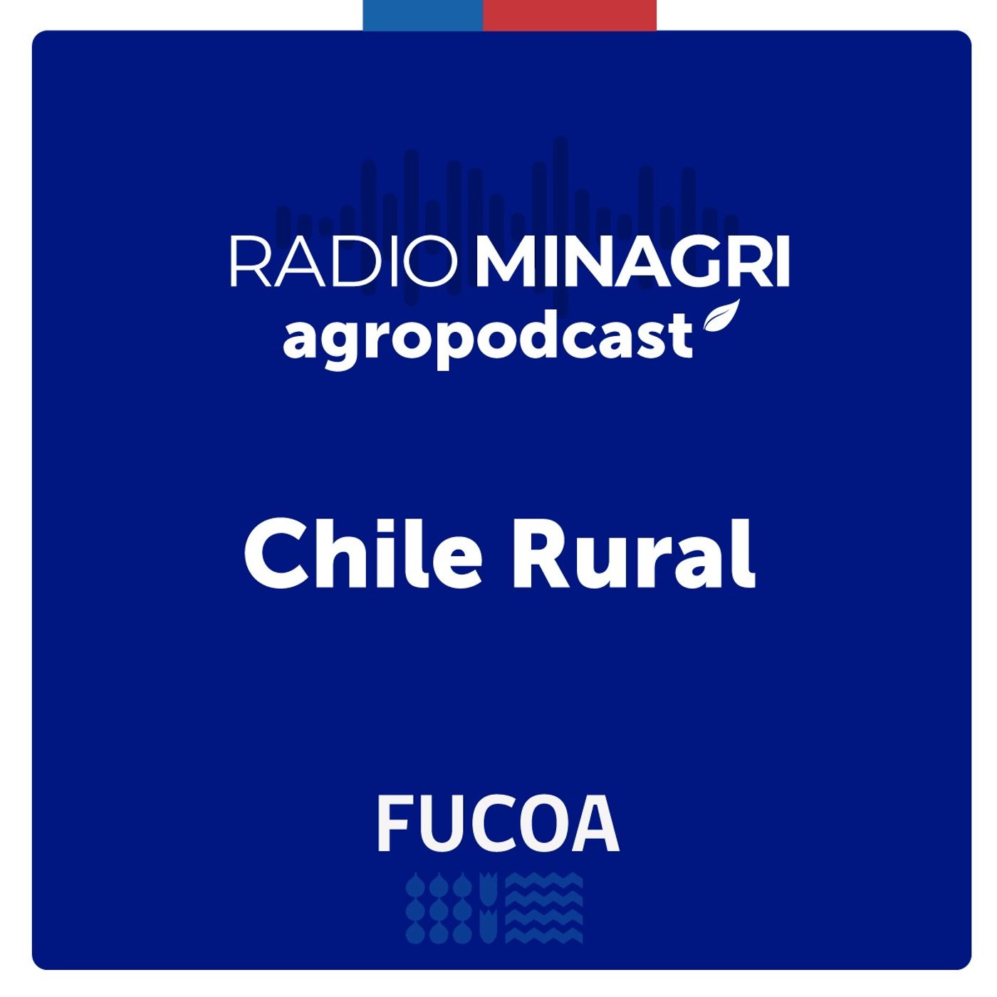 Chile Rural – Episodio 317: Subsecretario Venezian detalla acciones del Minagri y sus servicios en beneficio de agricultores afectados por el sistema frontal episode artwork