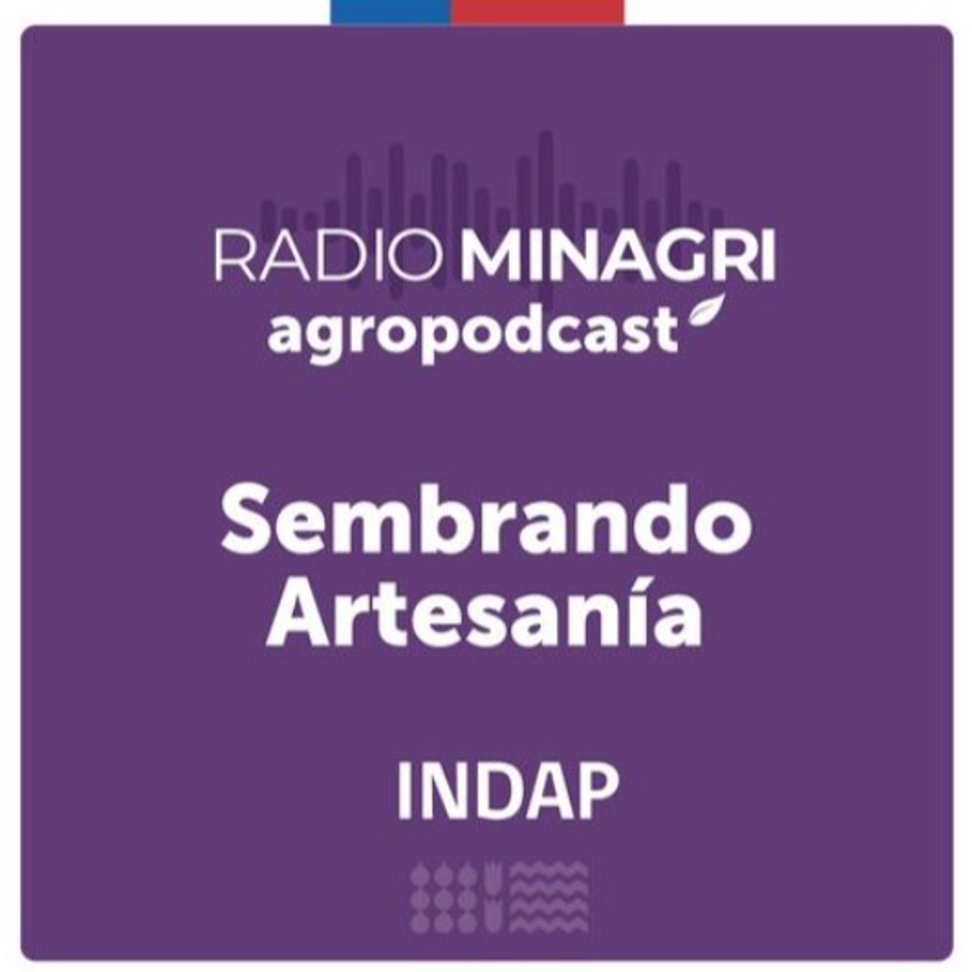 Sembrando artesanía – Episodio 80: Innovación en artesanía episode artwork