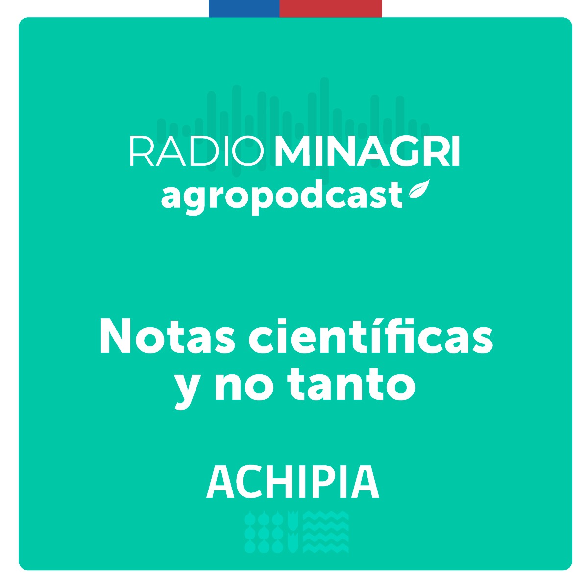 Notas científicas y no tanto – Episodio 9: Comida callejera