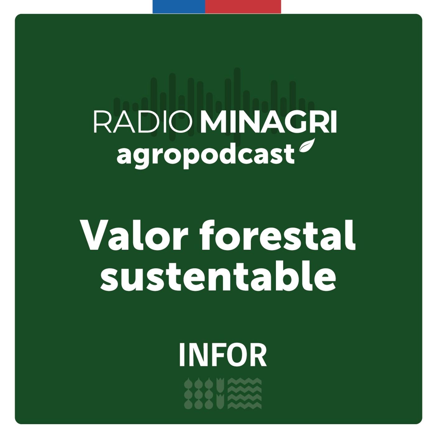 Valor forestal sustentable – Episodio 37: La historia de Soledad Donoso Núñez tras 26 años de trayectoria en INFOR episode artwork