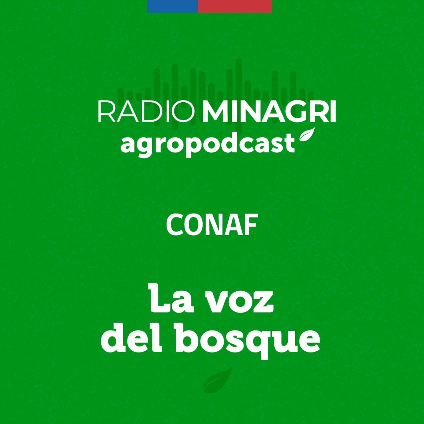 La voz del bosque - Episodio 68: Acciones de fiscalización de CONAF episode artwork