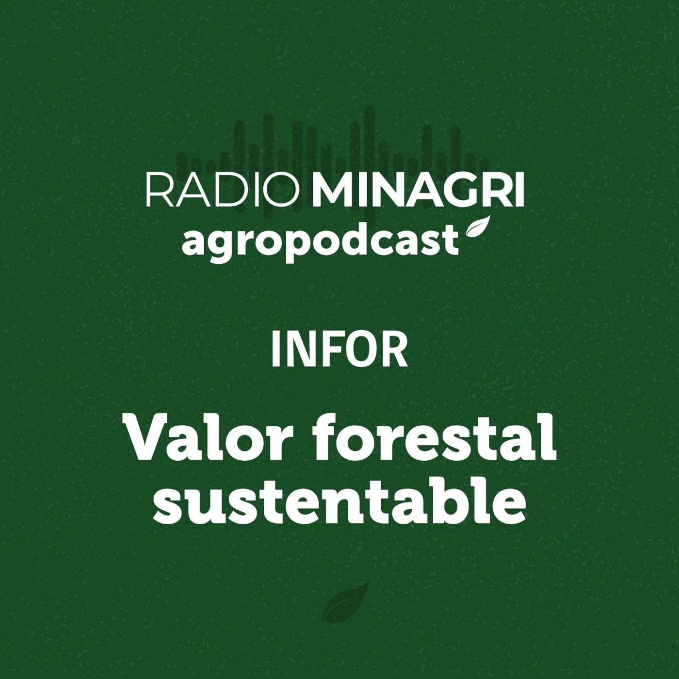 Valor forestal sustentable - Episodio 22: Día Internacional de la Mujer en INFOR episode artwork