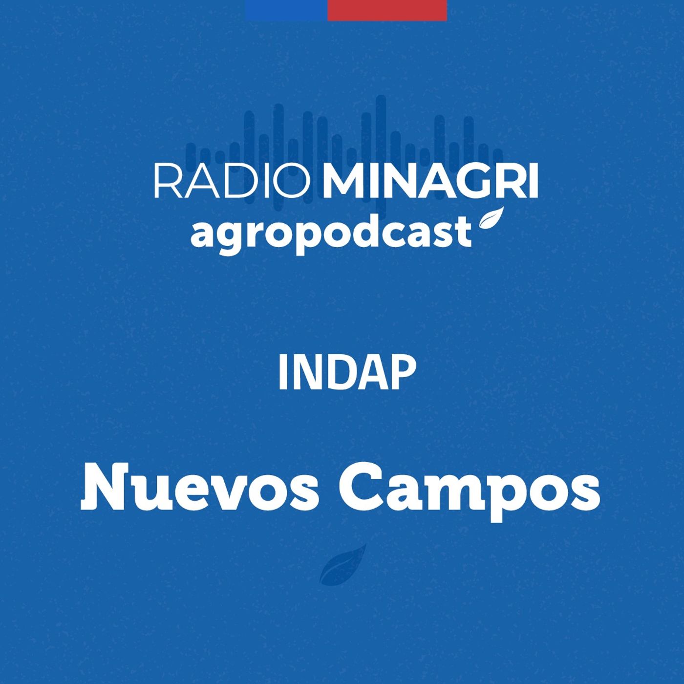 Nuevos campos - Episodio 131: Medidas ante emergencias por incendios forestales episode artwork