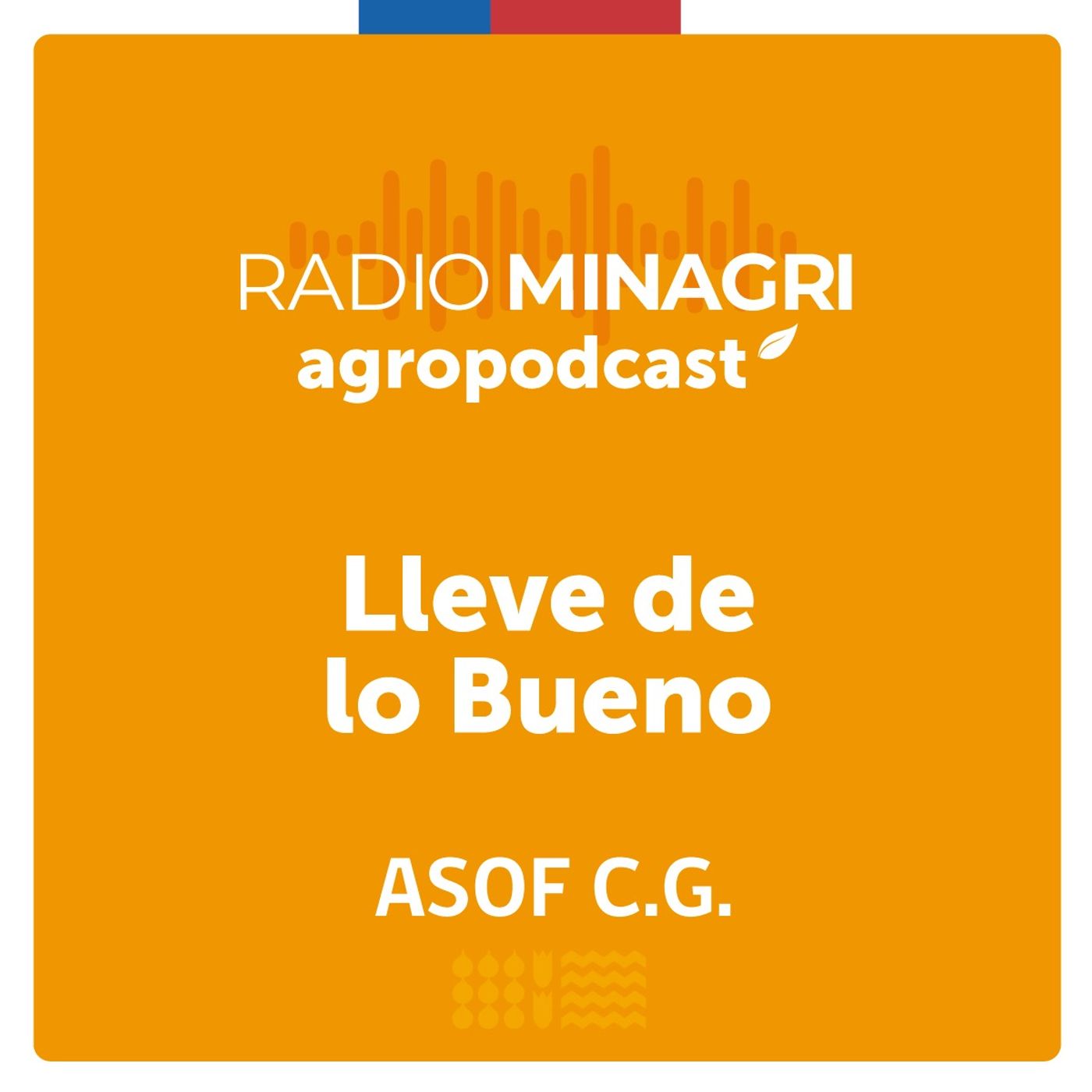 Lleve de lo bueno – Episodio 15: Ministro Marcel y dirigentes nacionales de ASOF y gremios lanzan protocolo de tributación especial para feriantes episode artwork