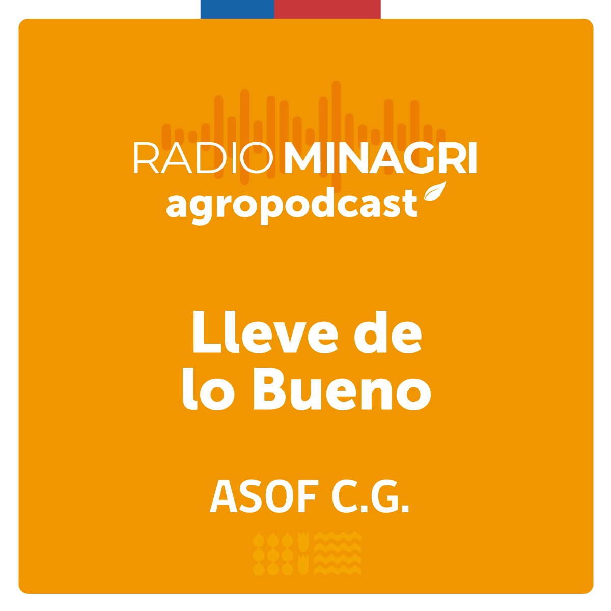 Lleve de lo bueno – Episodio 15: Ministro Marcel y dirigentes nacionales de ASOF y gremios lanzan protocolo de tributación especial para feriantes