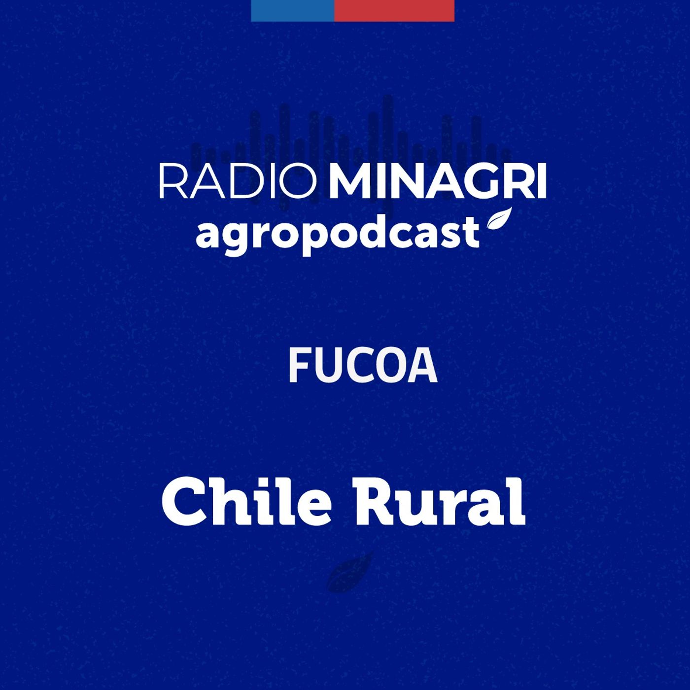 Chile Rural - Episodio 123: Nuevas medidas para enfrentar al nematodo de la frutilla episode artwork