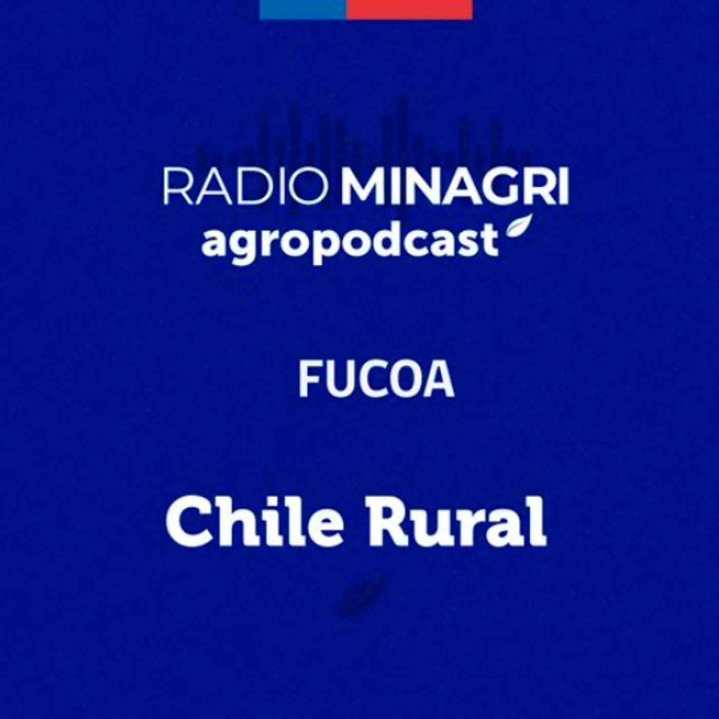 Chile Rural - Episodio 137: Nanotecnología y su aplicación en la agricultura episode artwork