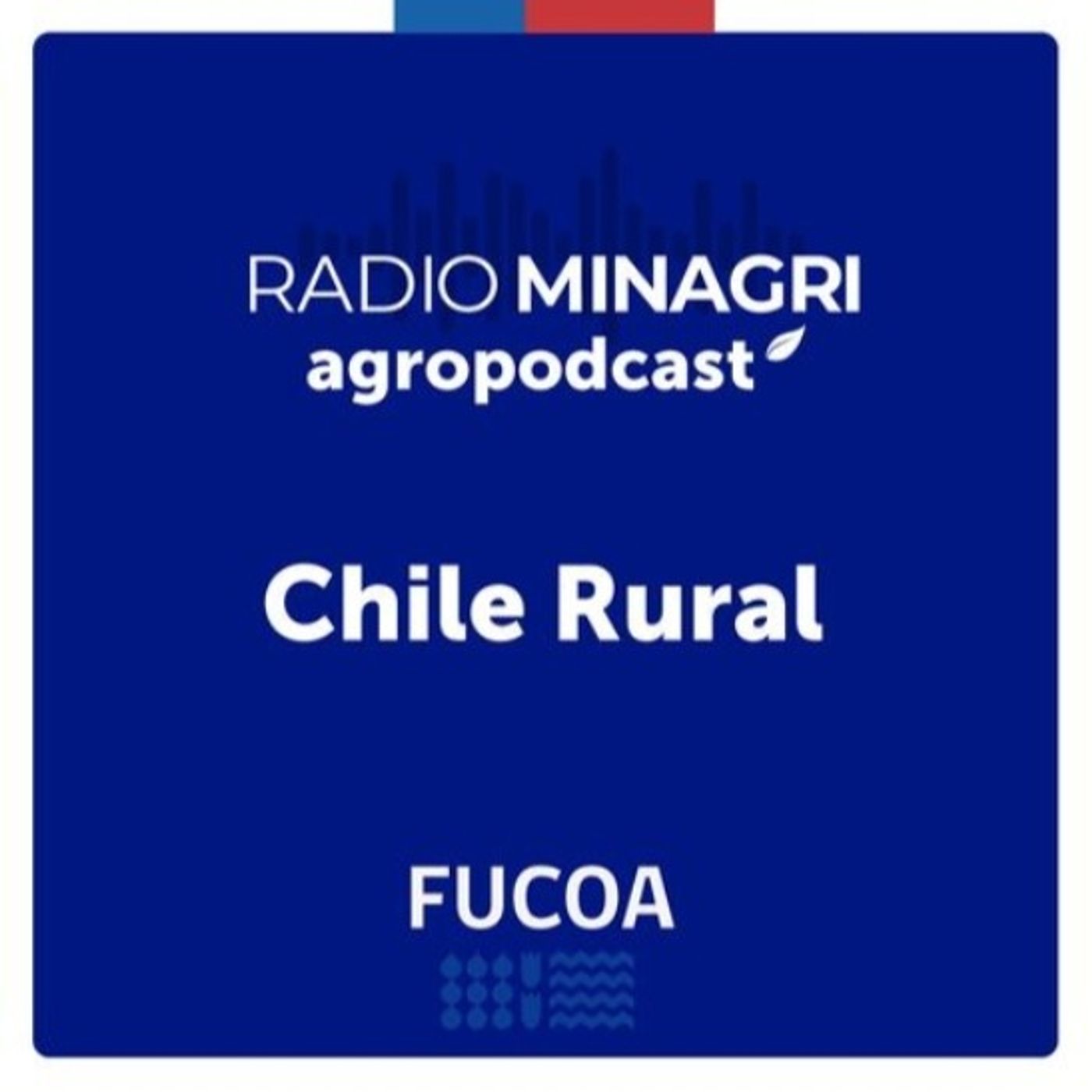 Chile Rural – Episodio 246: Ministro de Agricultura resalta logros a 3 años de gobierno episode artwork