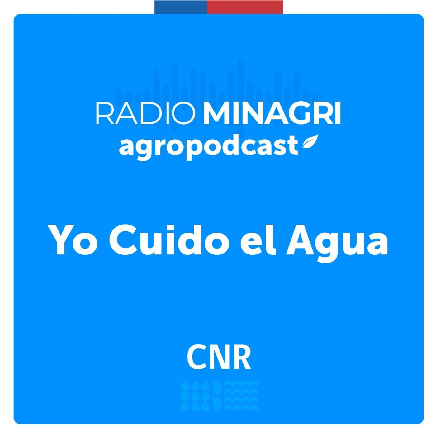 Yo cuido el agua – Episodio 2: Mujeres Rurales: Estrategias de Apoyo y Fortalecimiento de la Comisión Nacional de Riego episode artwork
