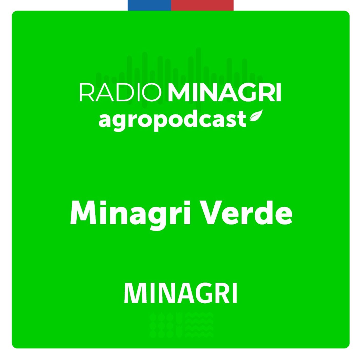 Minagri verde – Episodio 2: Oficina Verde, una iniciativa que se construye entre todas y todos episode artwork