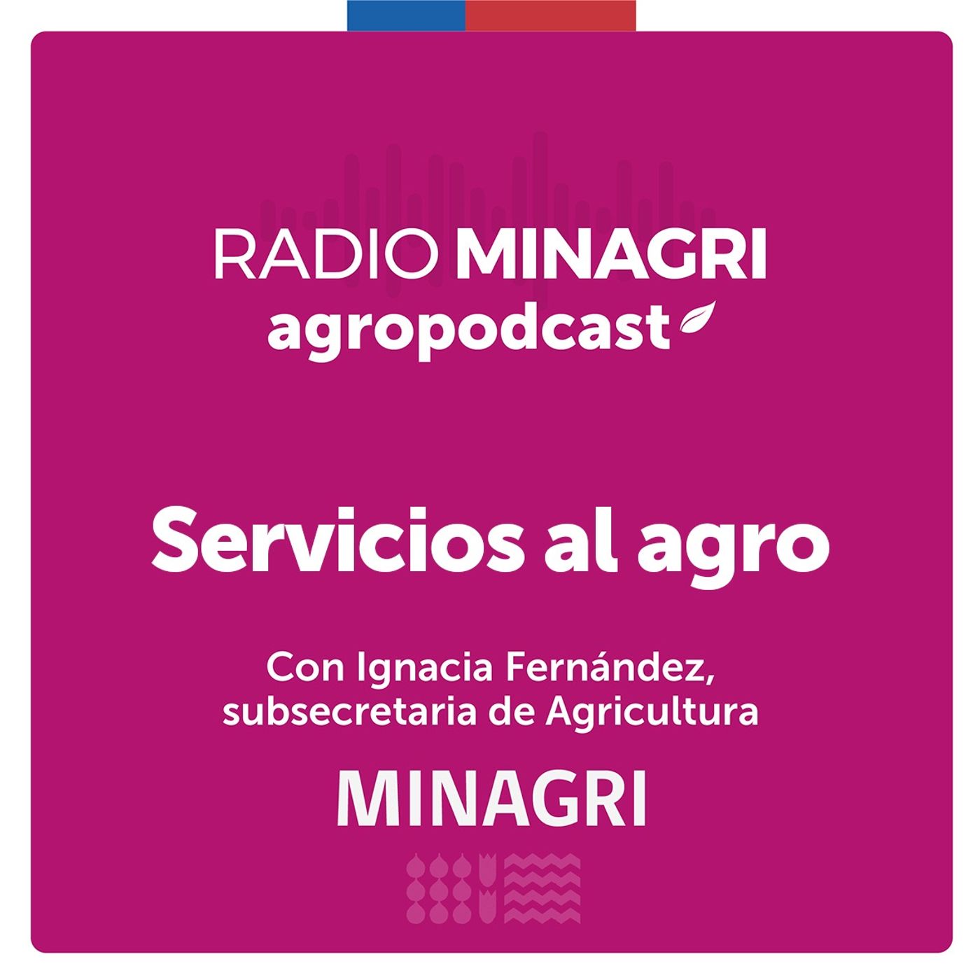 Servicios al agro – Episodio 2: El rol de Odepa en la elaboración de estudios y estadísticas y su labor como oficina de cooperación internacional