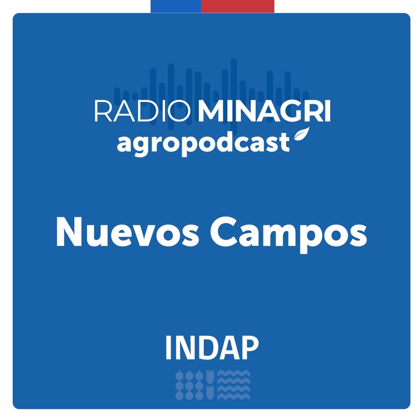 Nuevos campos – Episodio 167: Financiamiento especial para jóvenes rurales sustentables vía INDAP episode artwork