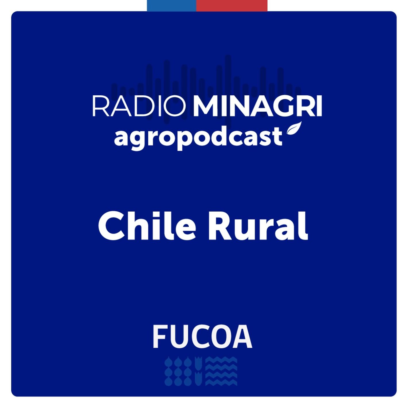 Chile Rural – Episodio 197: Entrevista con Cristian Núñez, subdirector de la DGA: Regularización de derechos de agua en Chile episode artwork