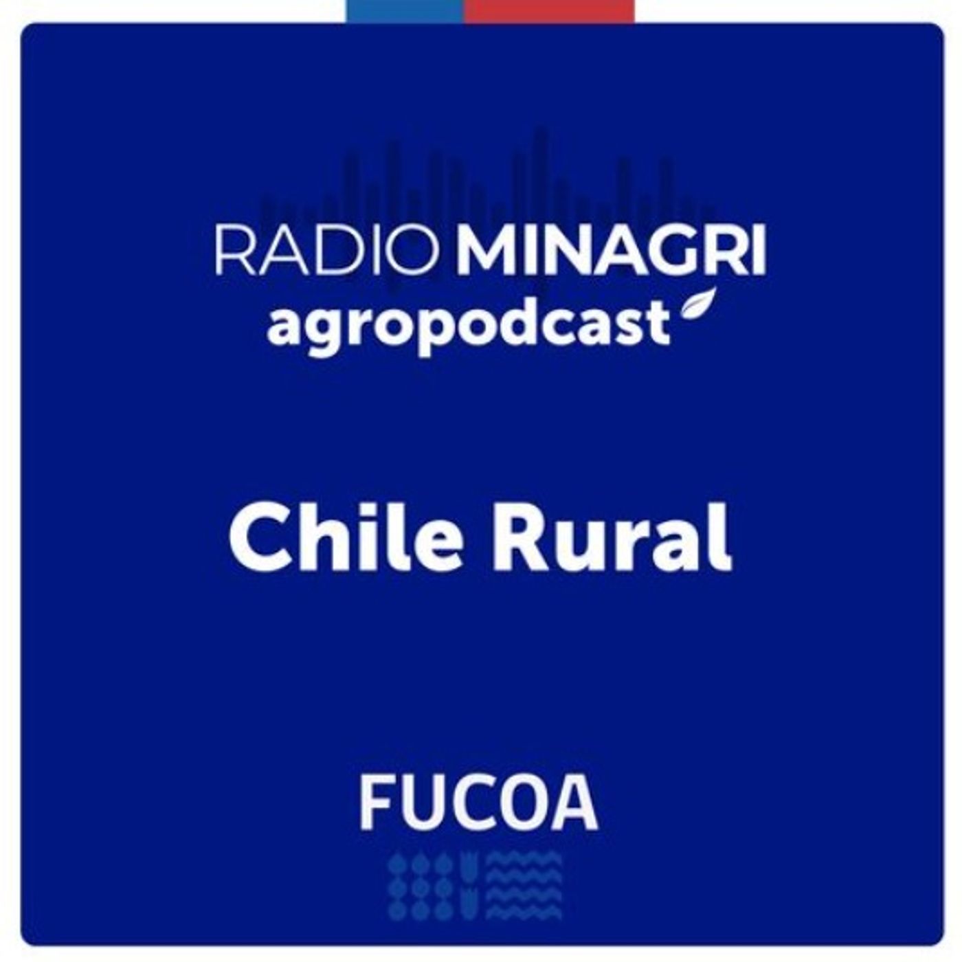 Chile Rural – Episodio 192: Ministro Valenzuela realiza balance de incendios forestales y comenta la actualidad del agro episode artwork