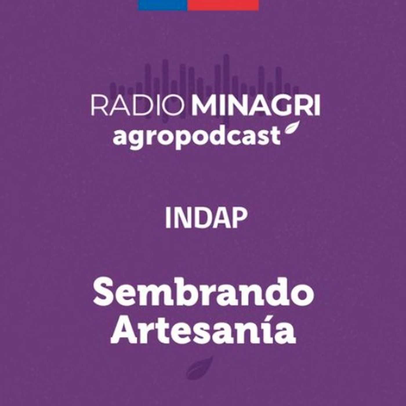 Sembrando artesanía - Episodio 27: Museo de Arte y Artesanía de Linares episode artwork