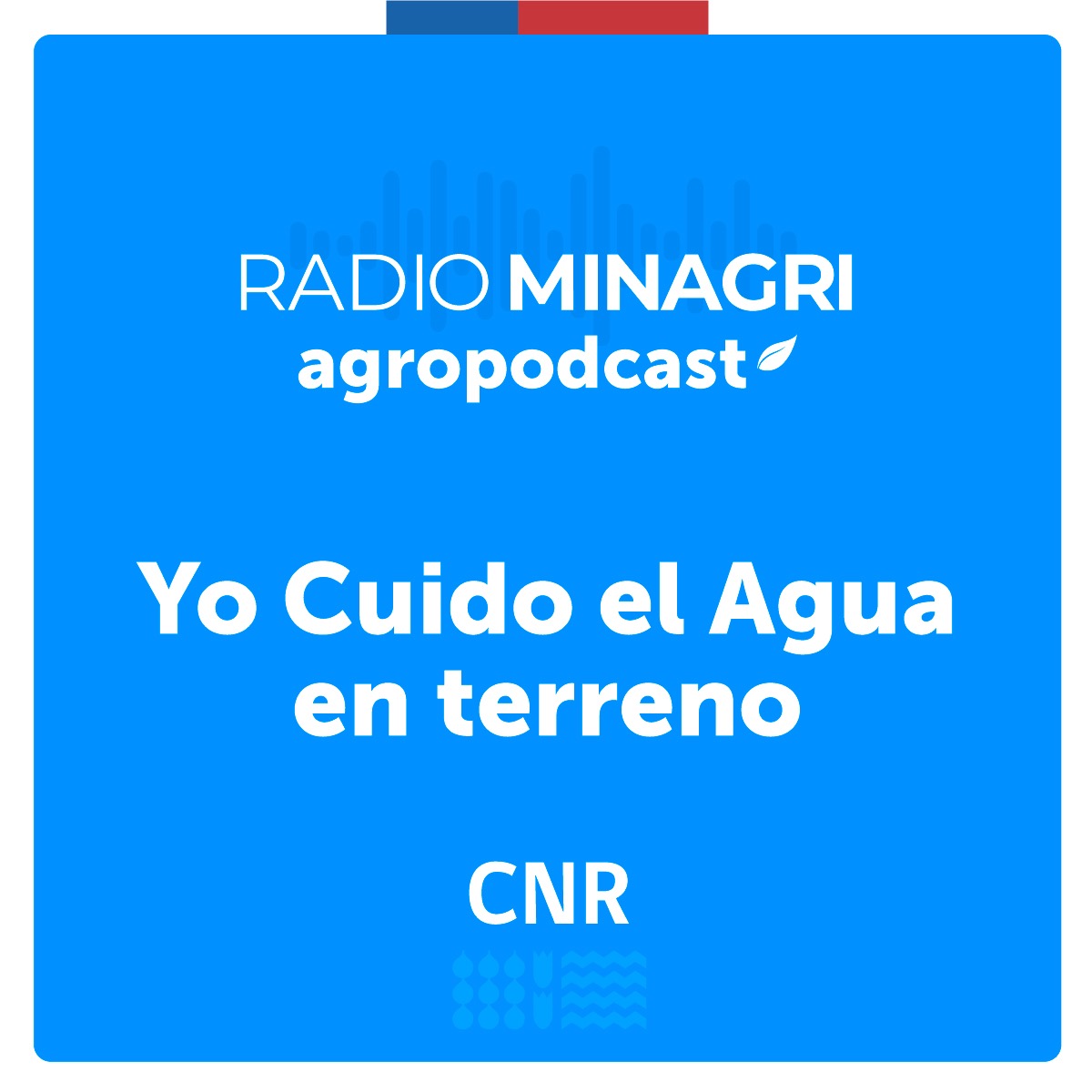 Yo cuido el agua en terreno – Episodio 6: La respuesta a las emergencias