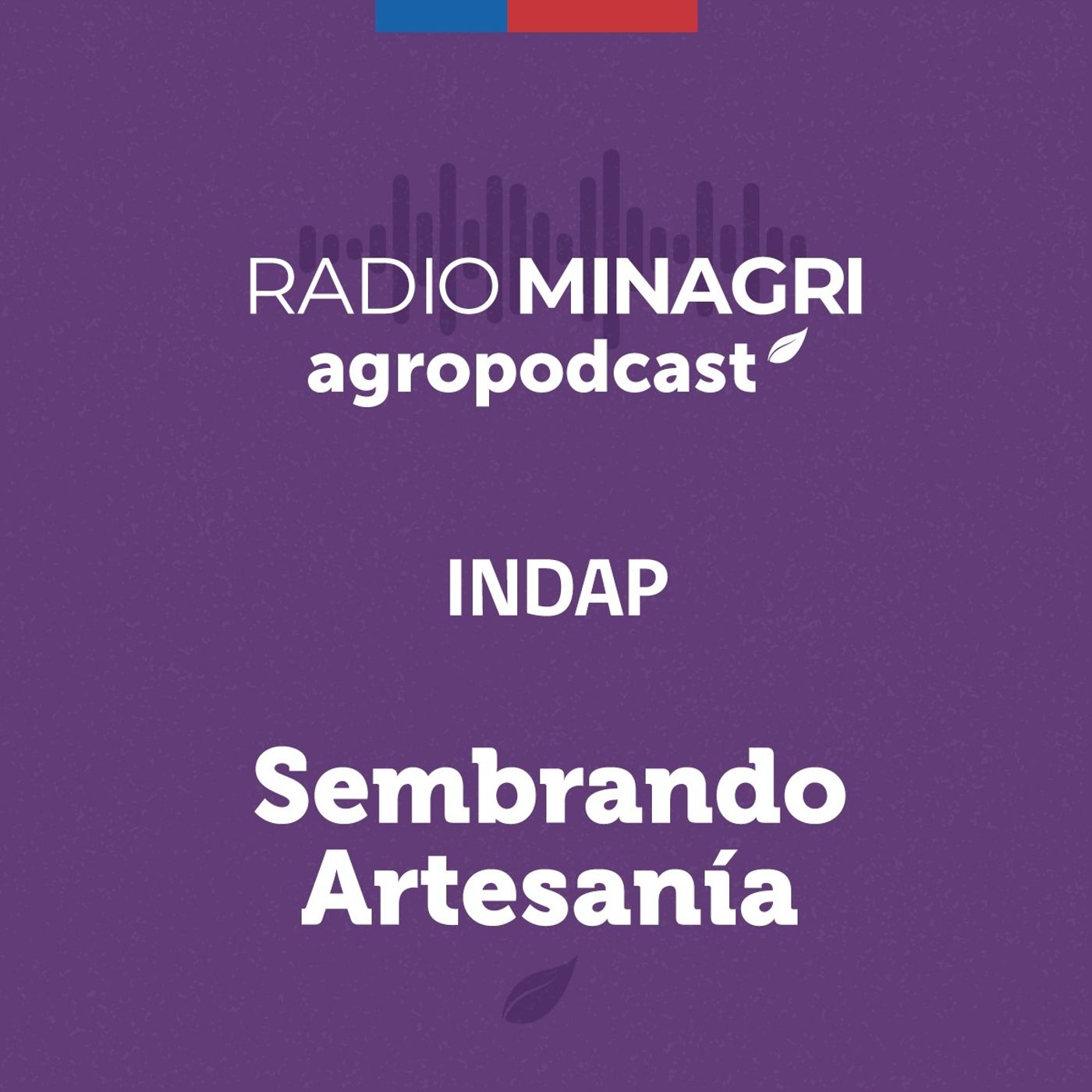 Sembrando artesanía - Episodio 29: Artesanía asociada al turismo episode artwork