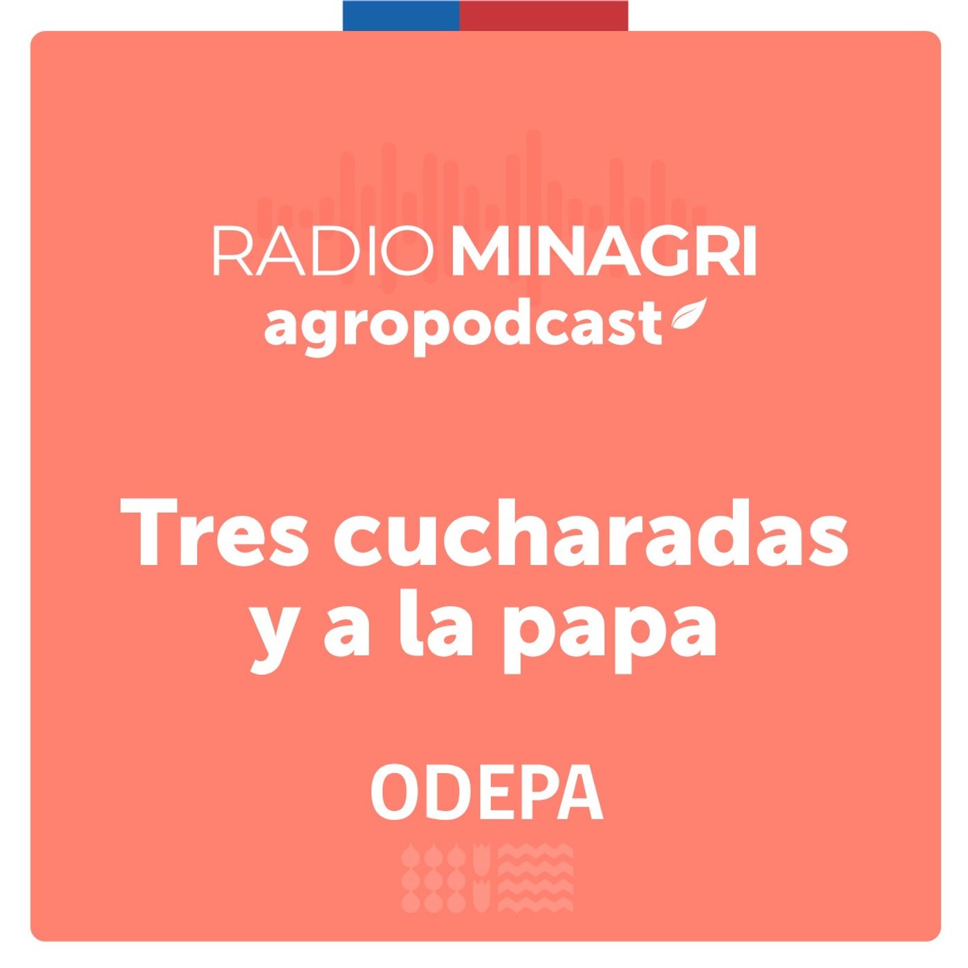 Tres cucharadas y a la papa – Episodio 4: ¿Por qué es importante cuidar el suelo? episode artwork