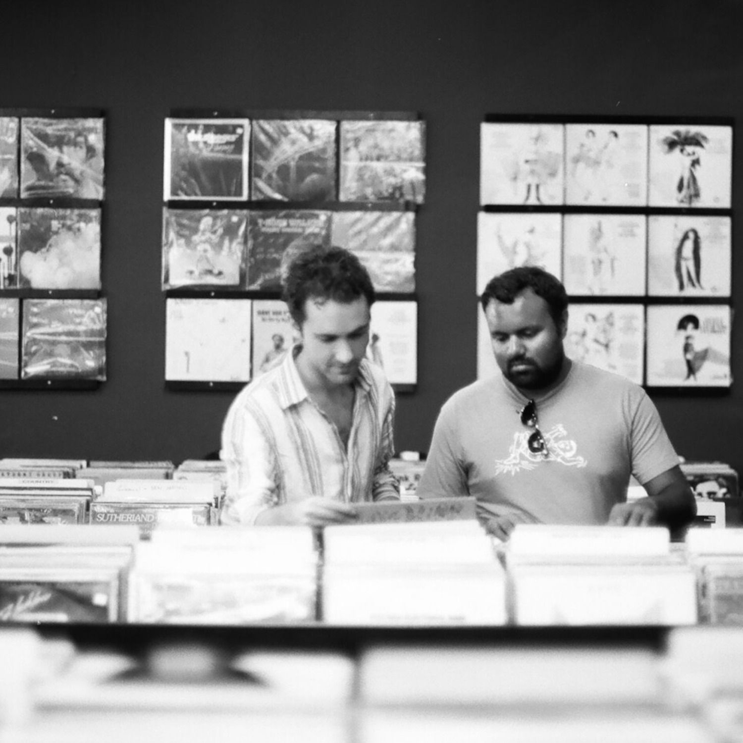 Joy Sounds: Music You Need To Know
