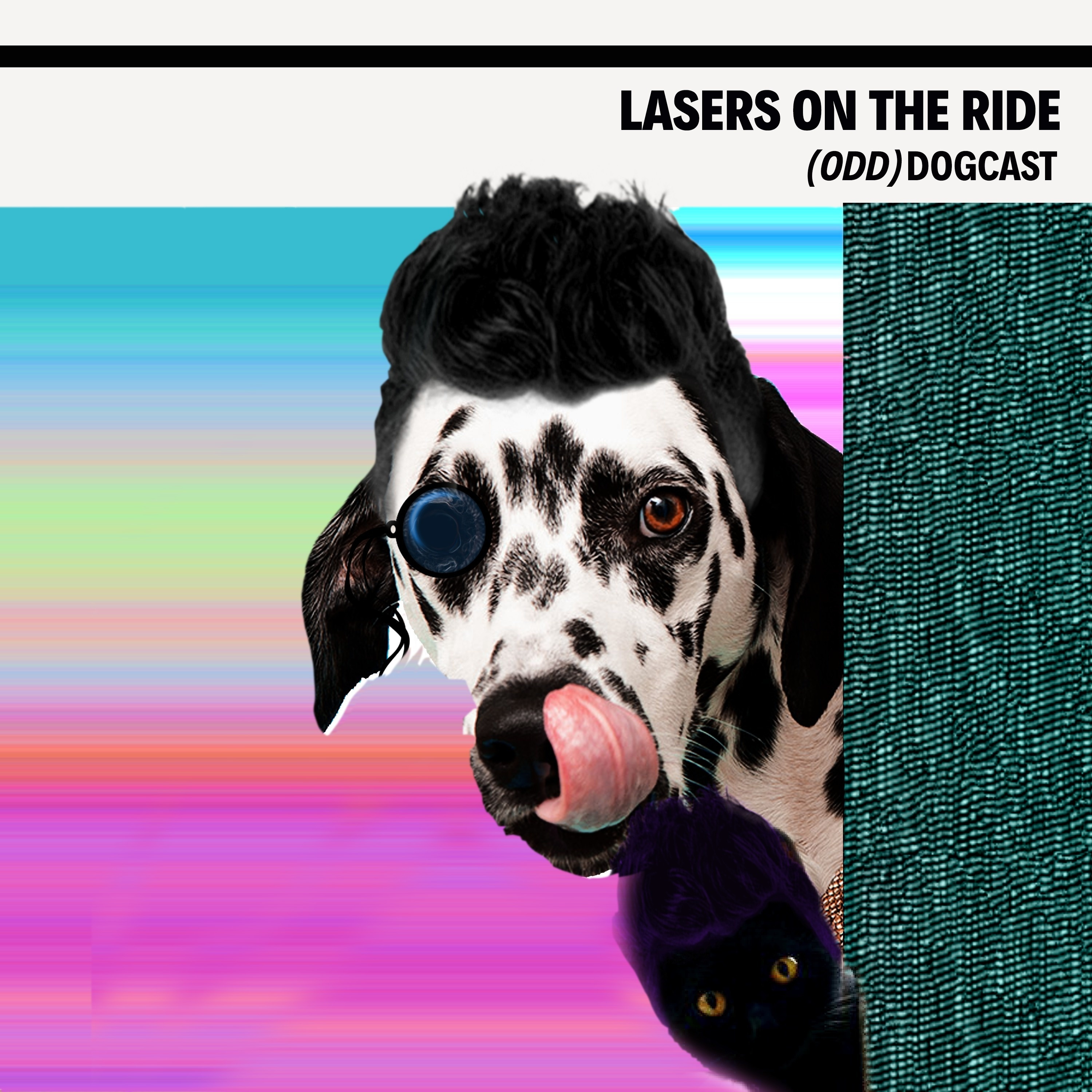 The Odd Dogcast
