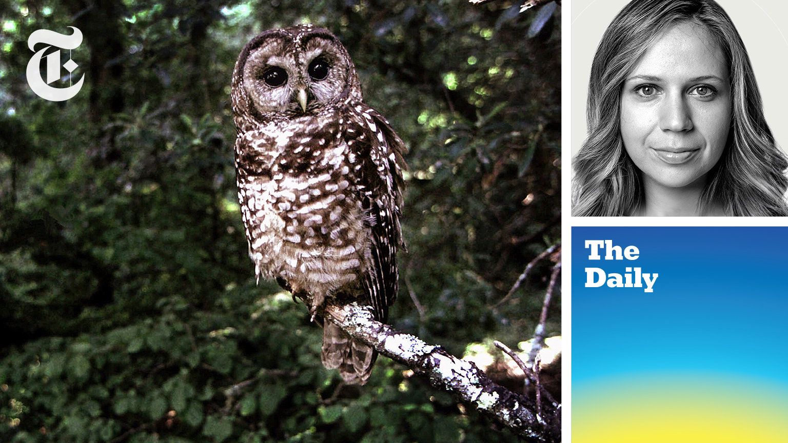 The Trump Administration Defangs the Endangered Species Act