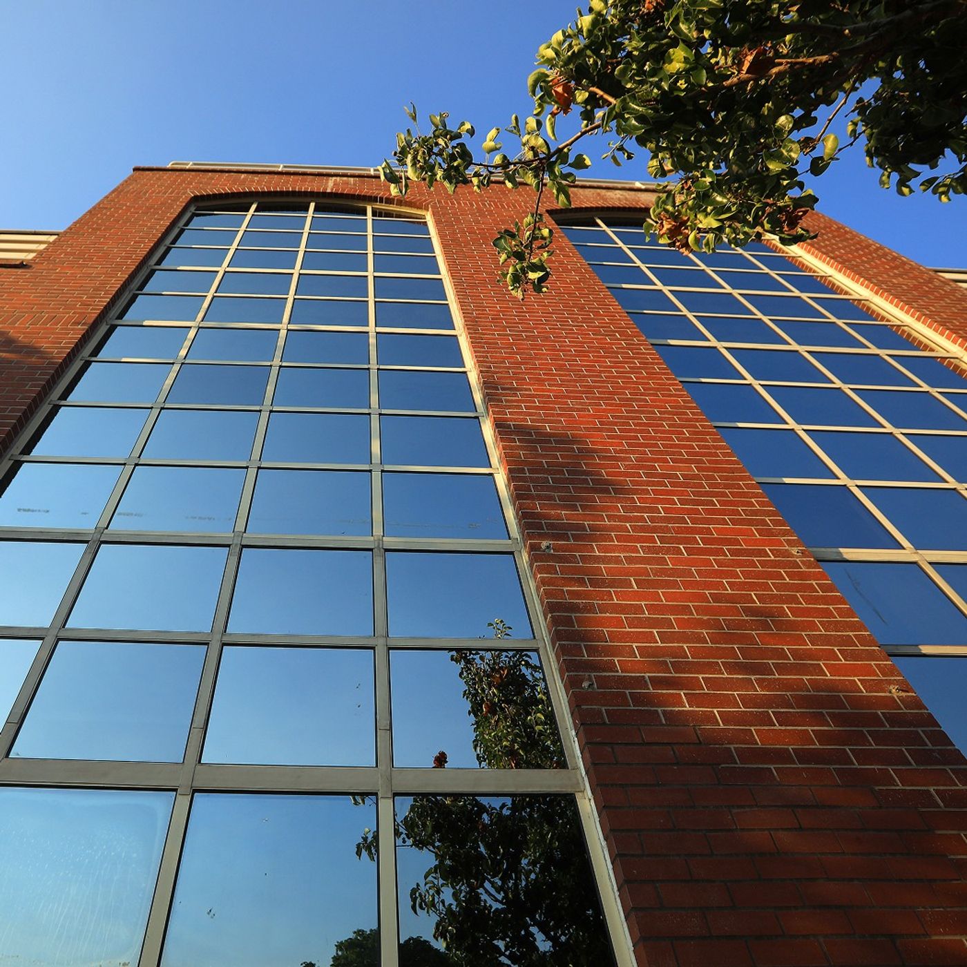 Inside the Tech Company Powering Trump’s Most Controversial Policies Inside the Tech Company Powering Trump’s Most Controversial Policies