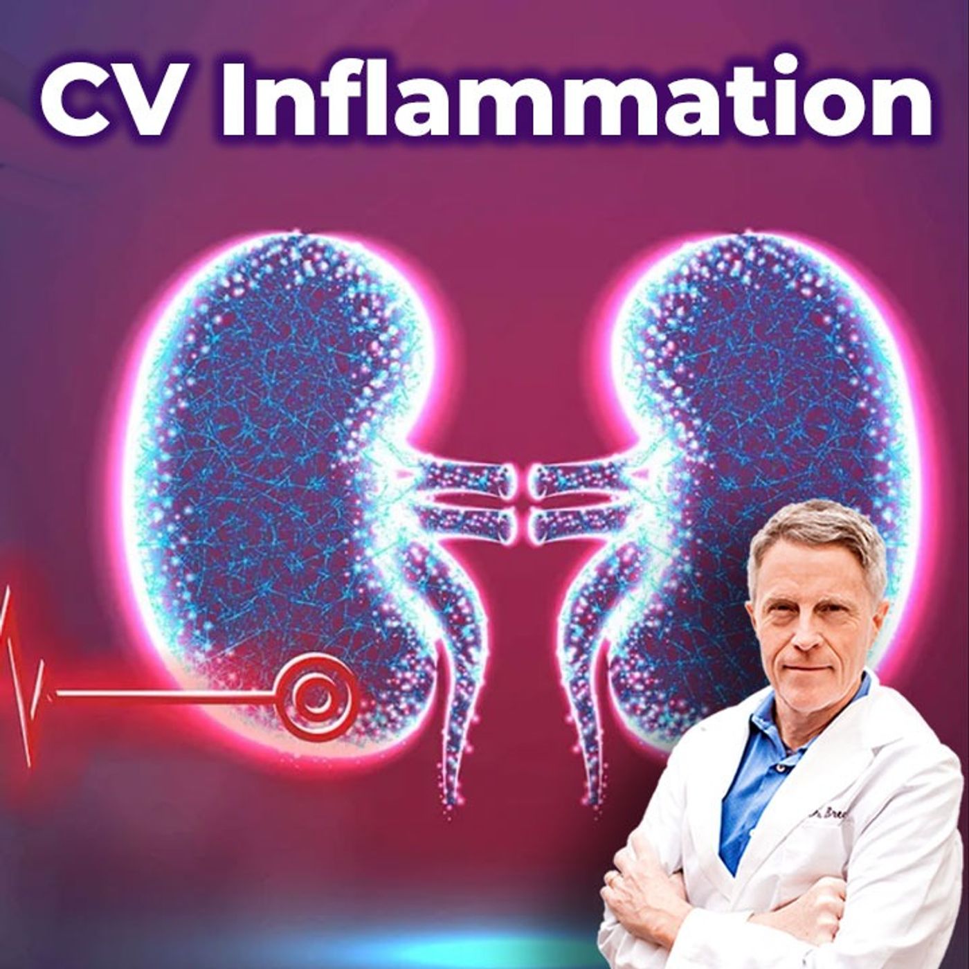Looking for Cardiovascular Inflammation? Listen to your kidneys. - FORD BREWER MD MPH