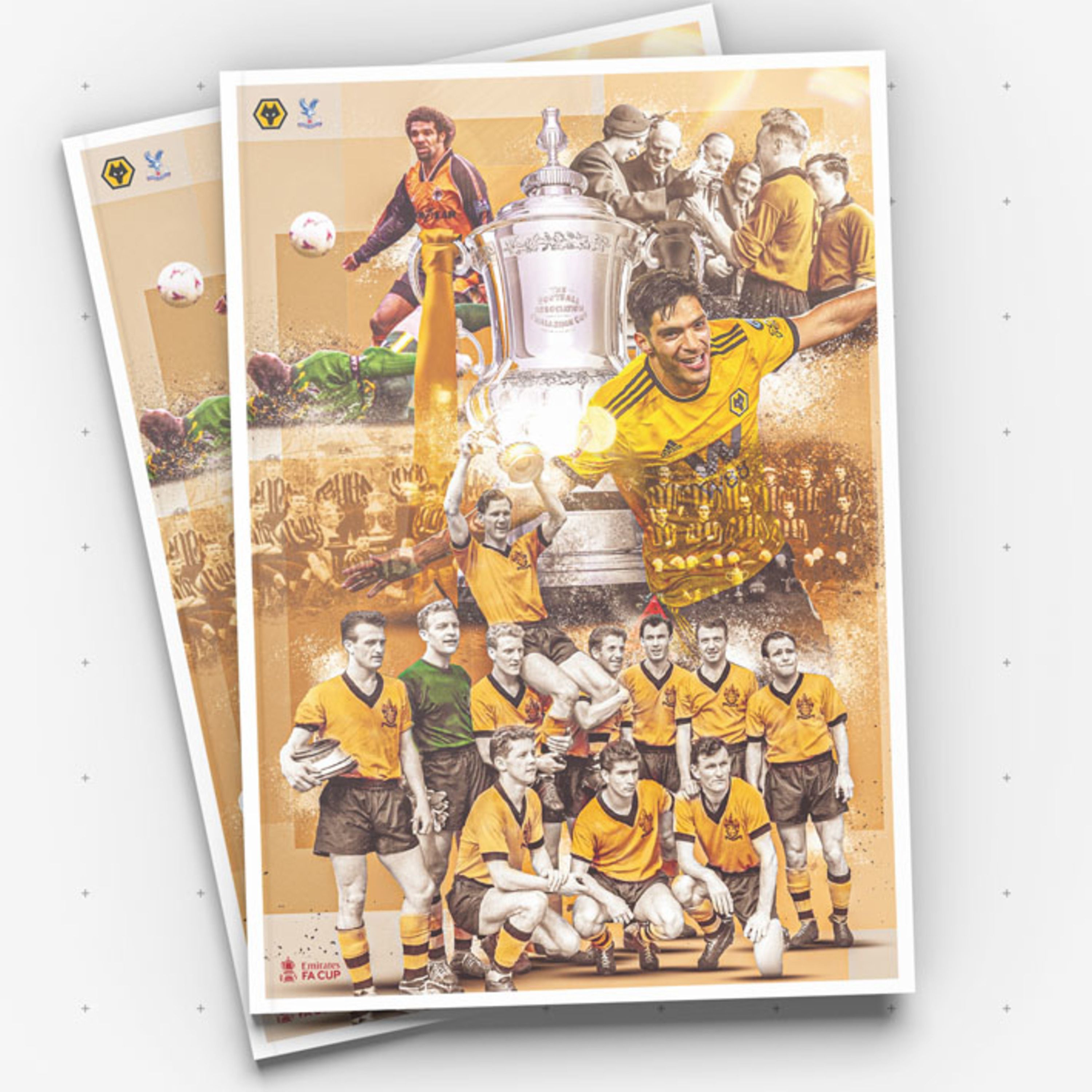 vs Crystal Palace (FA Cup)