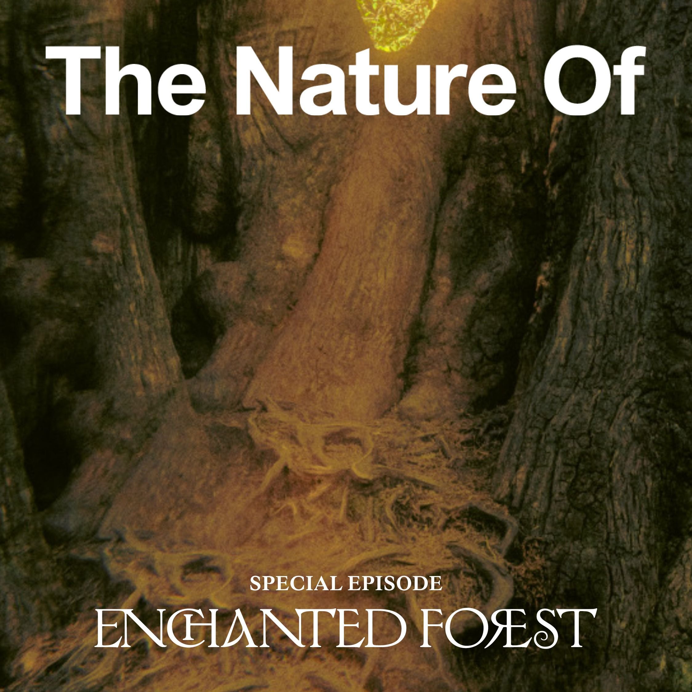 The Nature Of with Willow Defebaugh