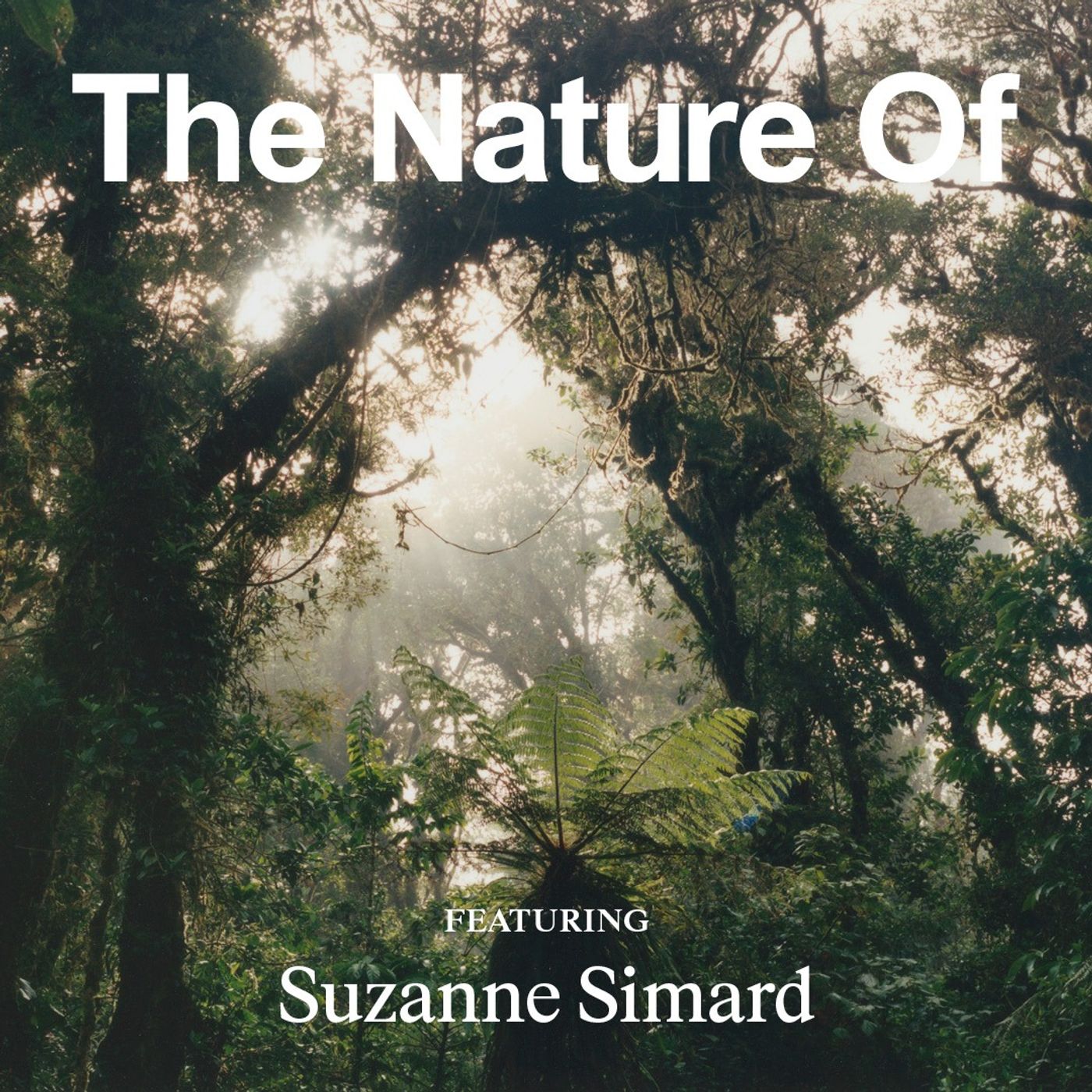 Suzanne Simard: How to Be a Mother Tree