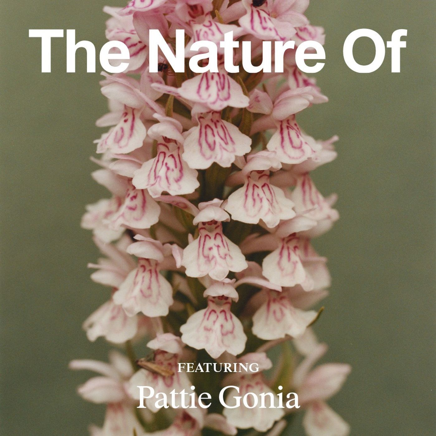 Drag Queen Pattie Gonia: Nature Isn’t Binary, and Neither Are We