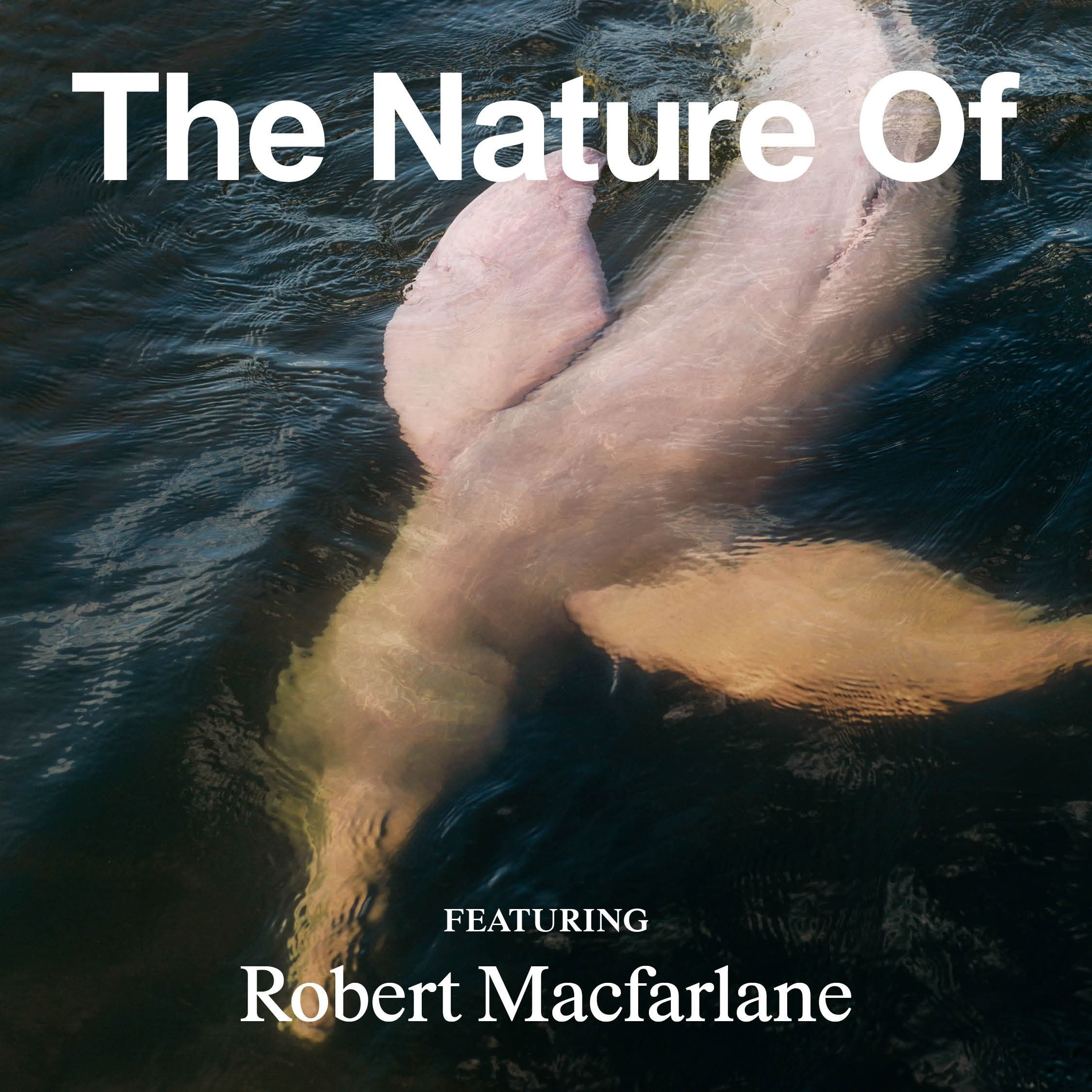 Robert Macfarlane on Embracing Flow and Letting Rivers Heal Us
