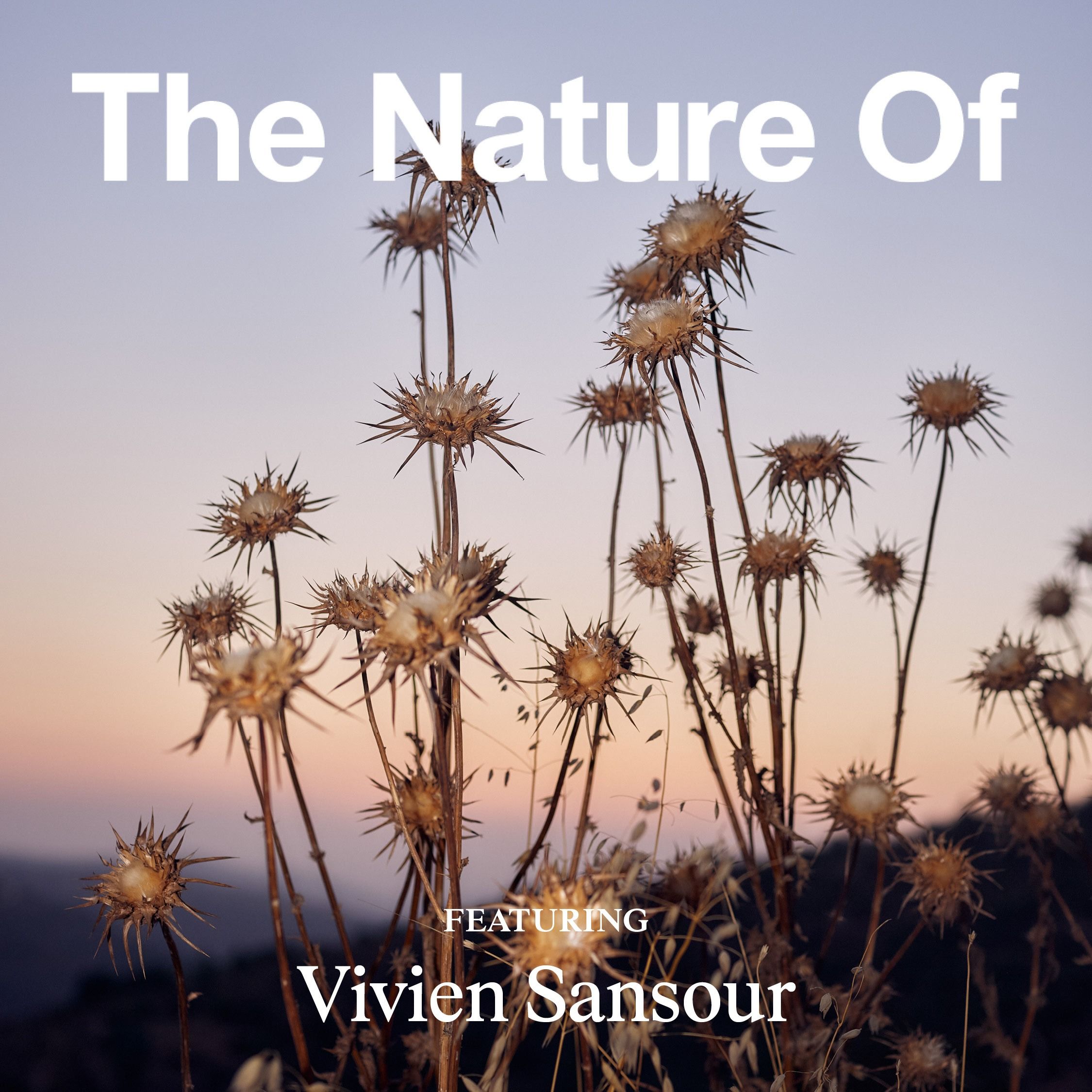 Vivien Sansour: Saving the Seeds of Palestine