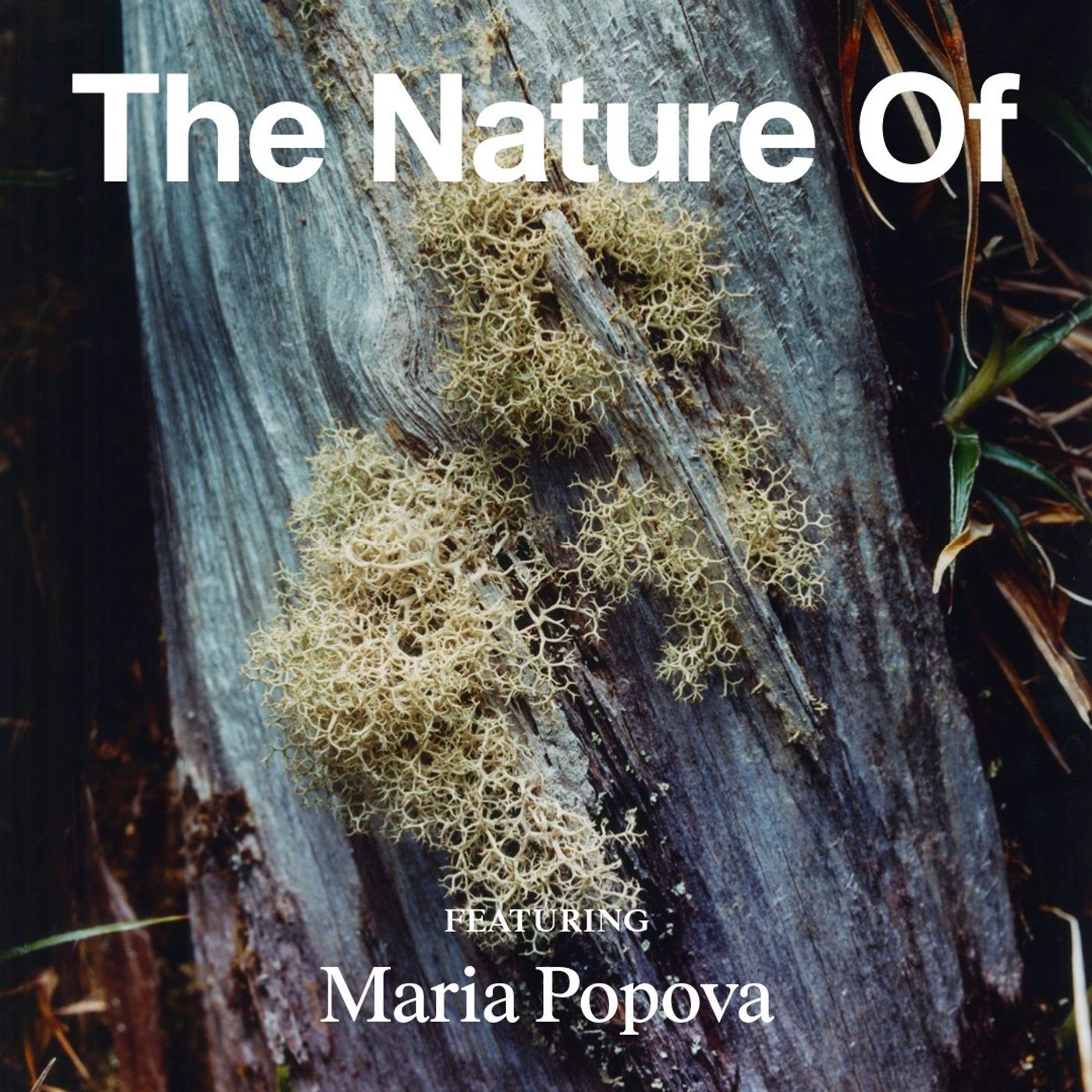Maria Popova on Turning Matter Into Meaning episode artwork