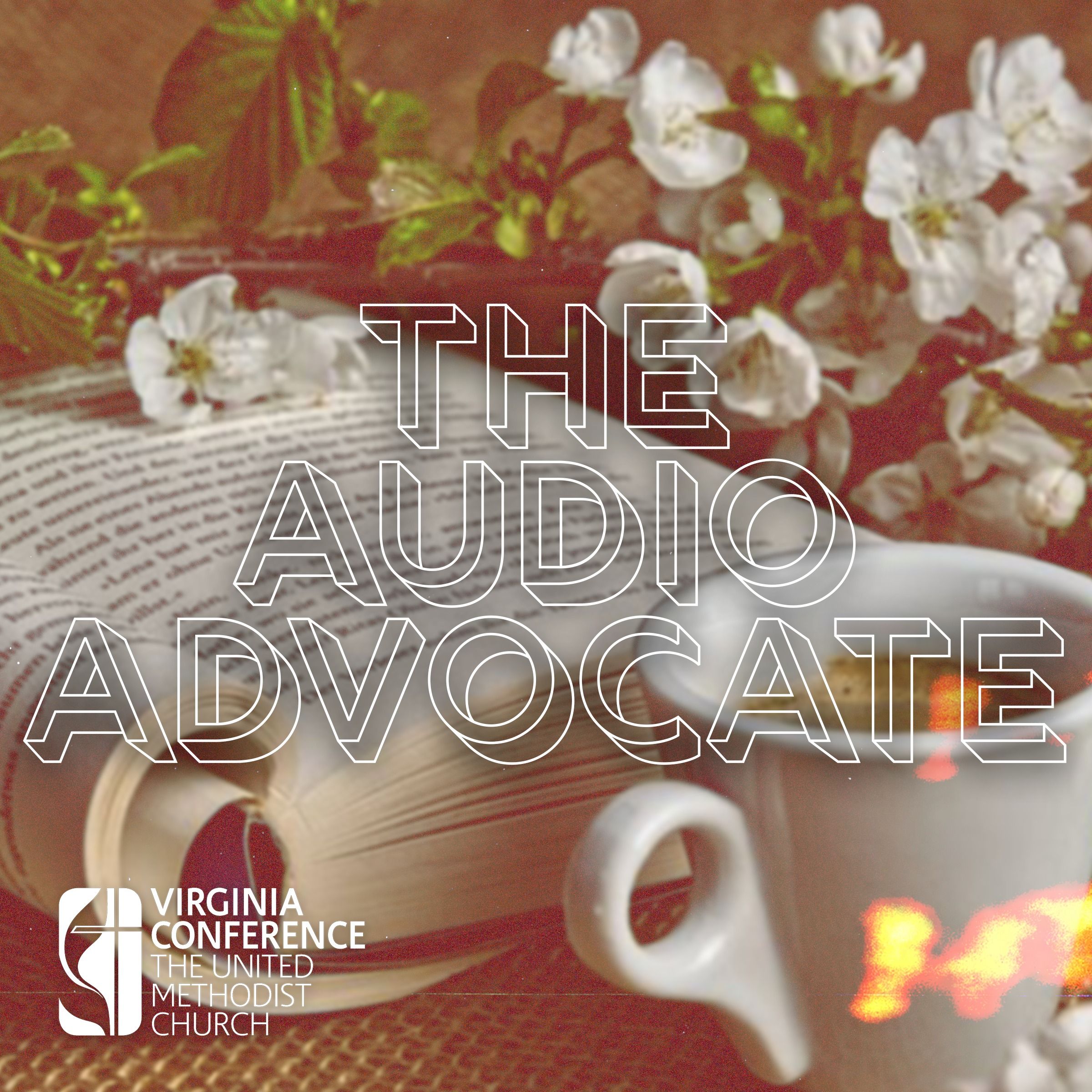 Audio Advocate - July 2nd episode artwork