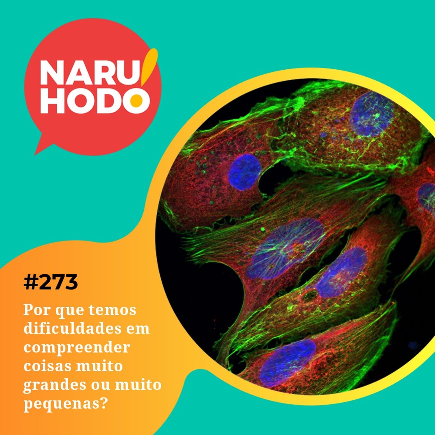 Naruhodo #273 - Por que temos dificuldades em compreender coisas muito grandes ou muito pequenas?