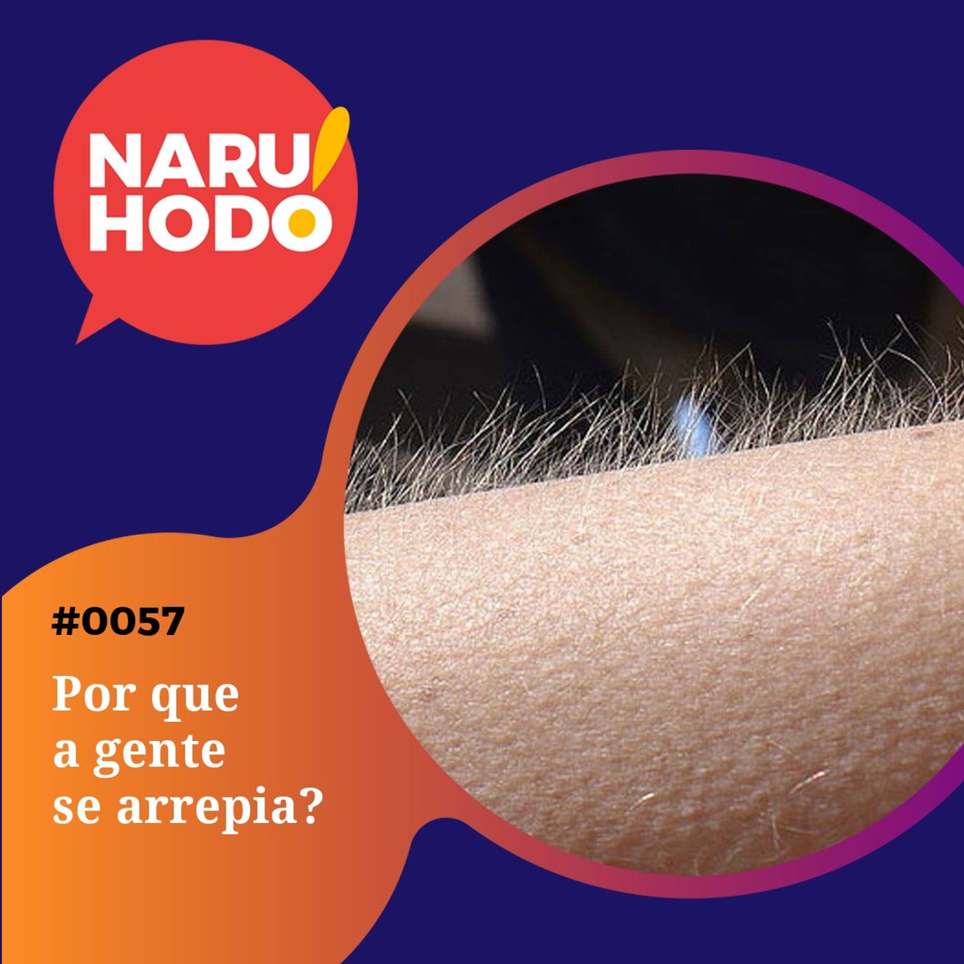 Naruhodo