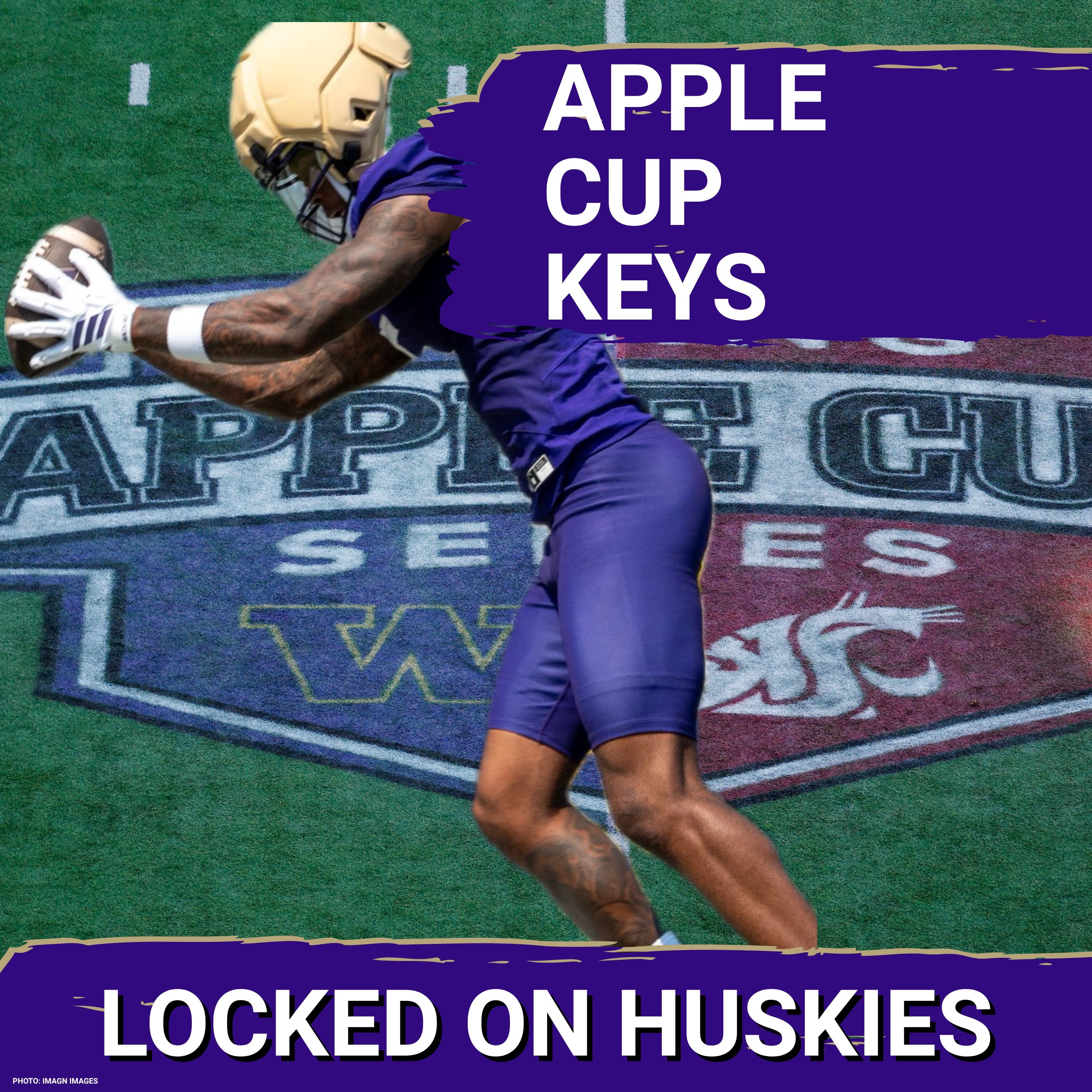 KEYS To A Washington VICTORY Over WSU In The Apple Cup episode artwork
