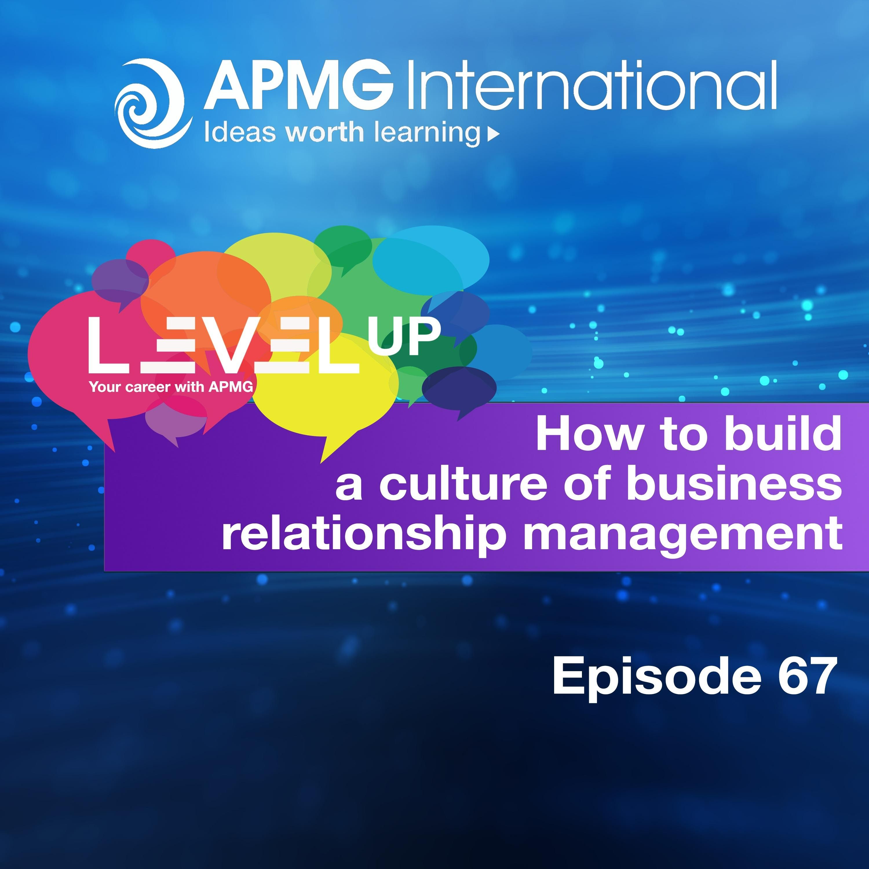 Level up your Career  - How to build a culture of business relationship management episode artwork