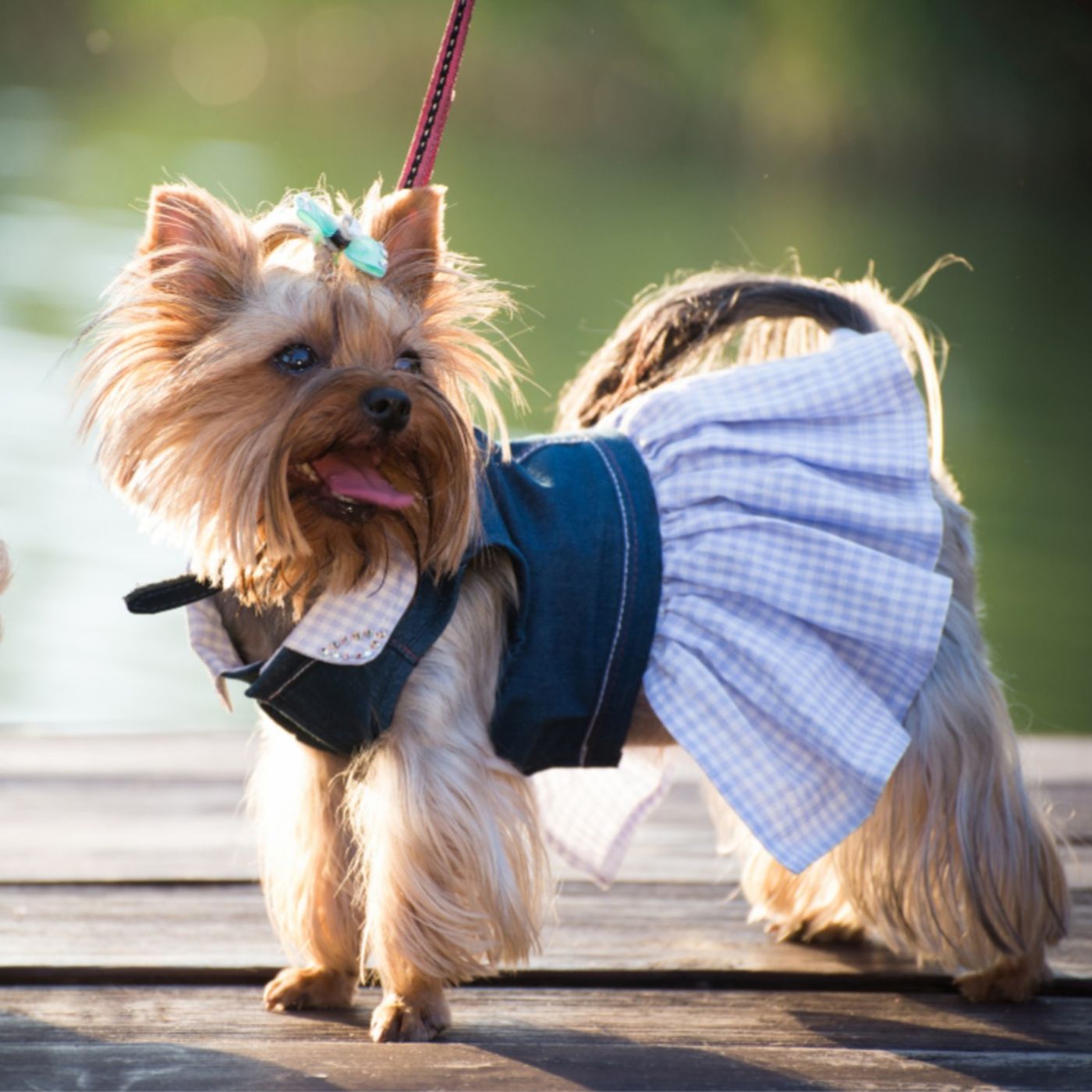 336: When Triple Redundancy Isn't Enough