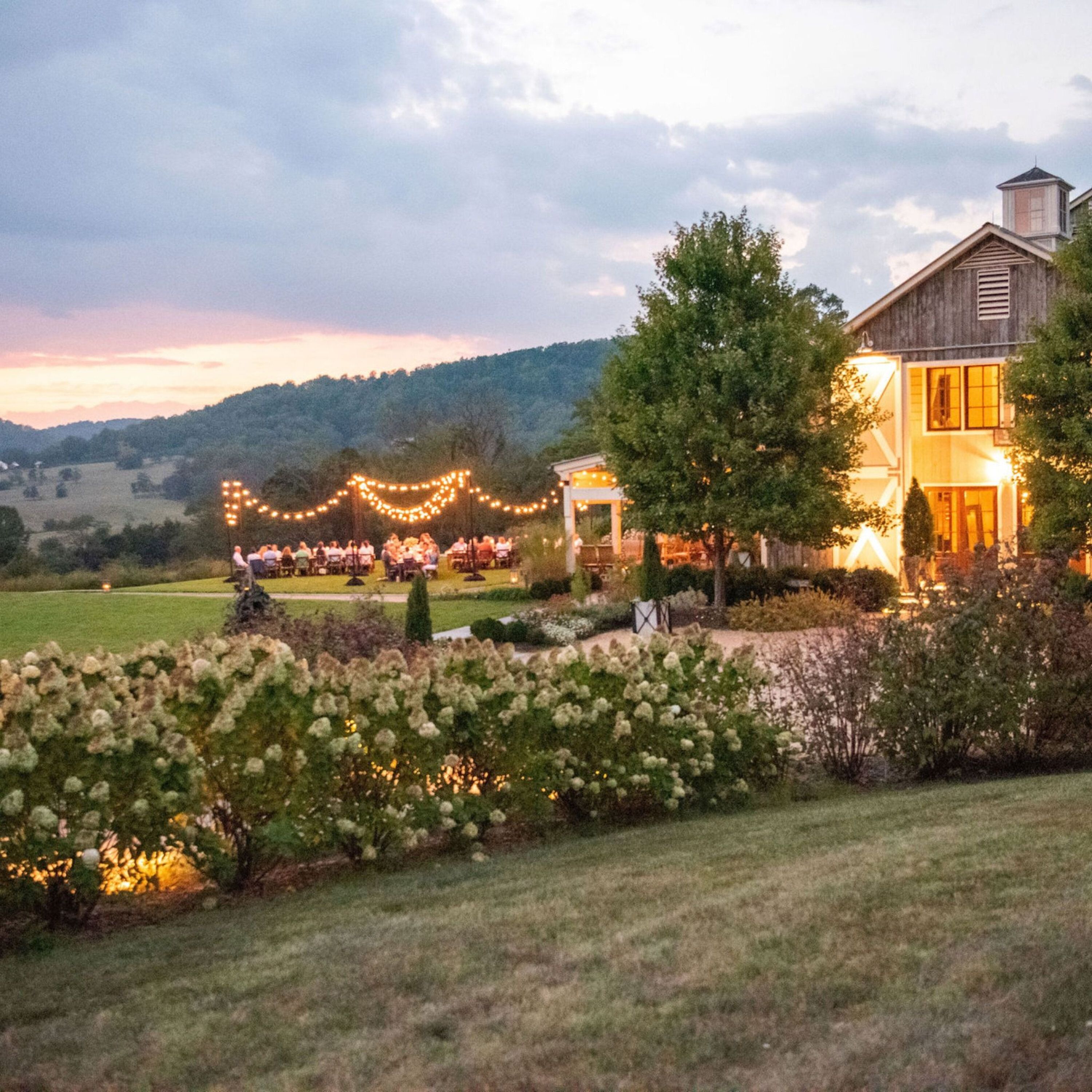 Pippin Hill Farm & Vineyards - North Garden, VA Pt. 3