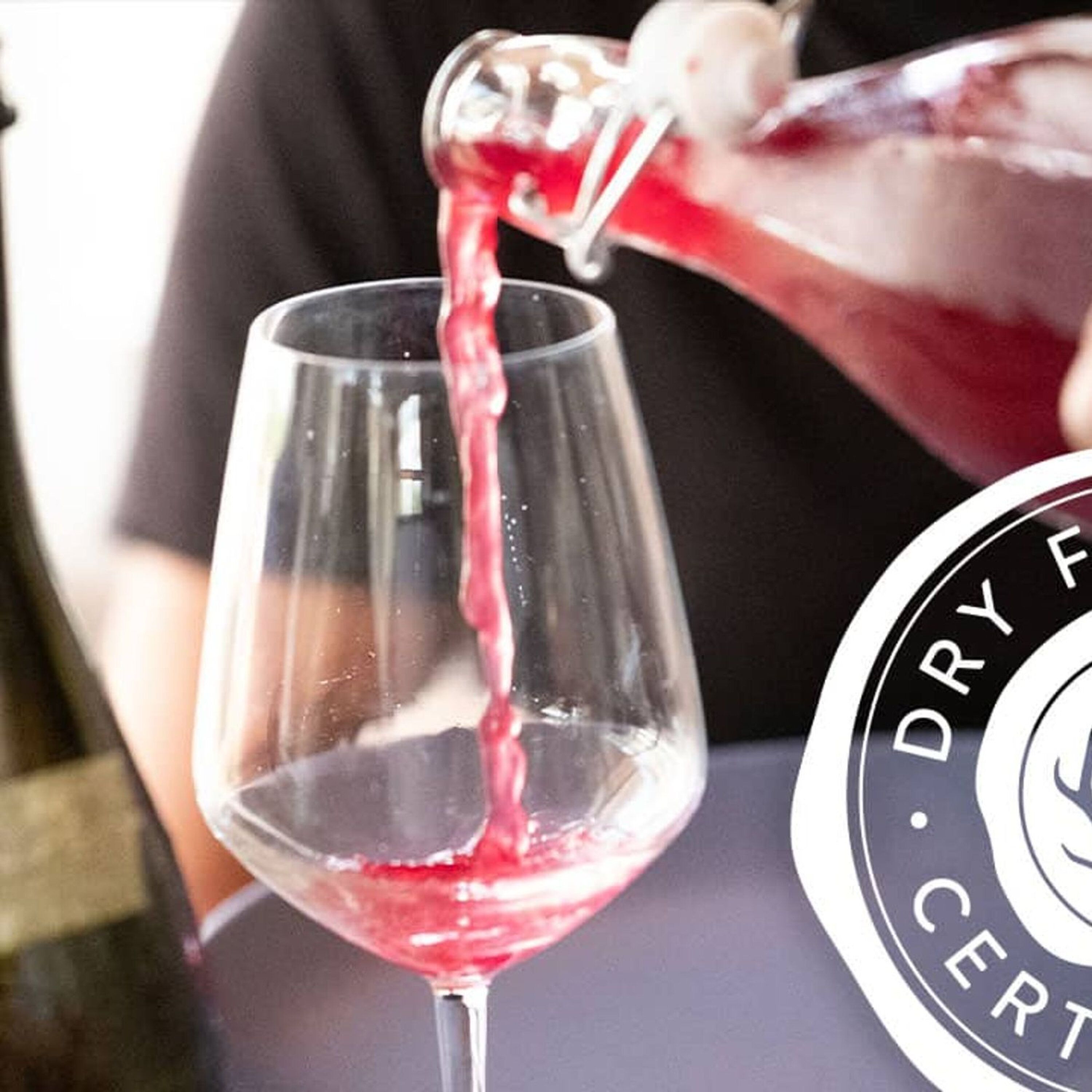 Dry Farm Wines - Todd White - Pt. 1 Dry Farm Wines - Todd White - Pt. 1