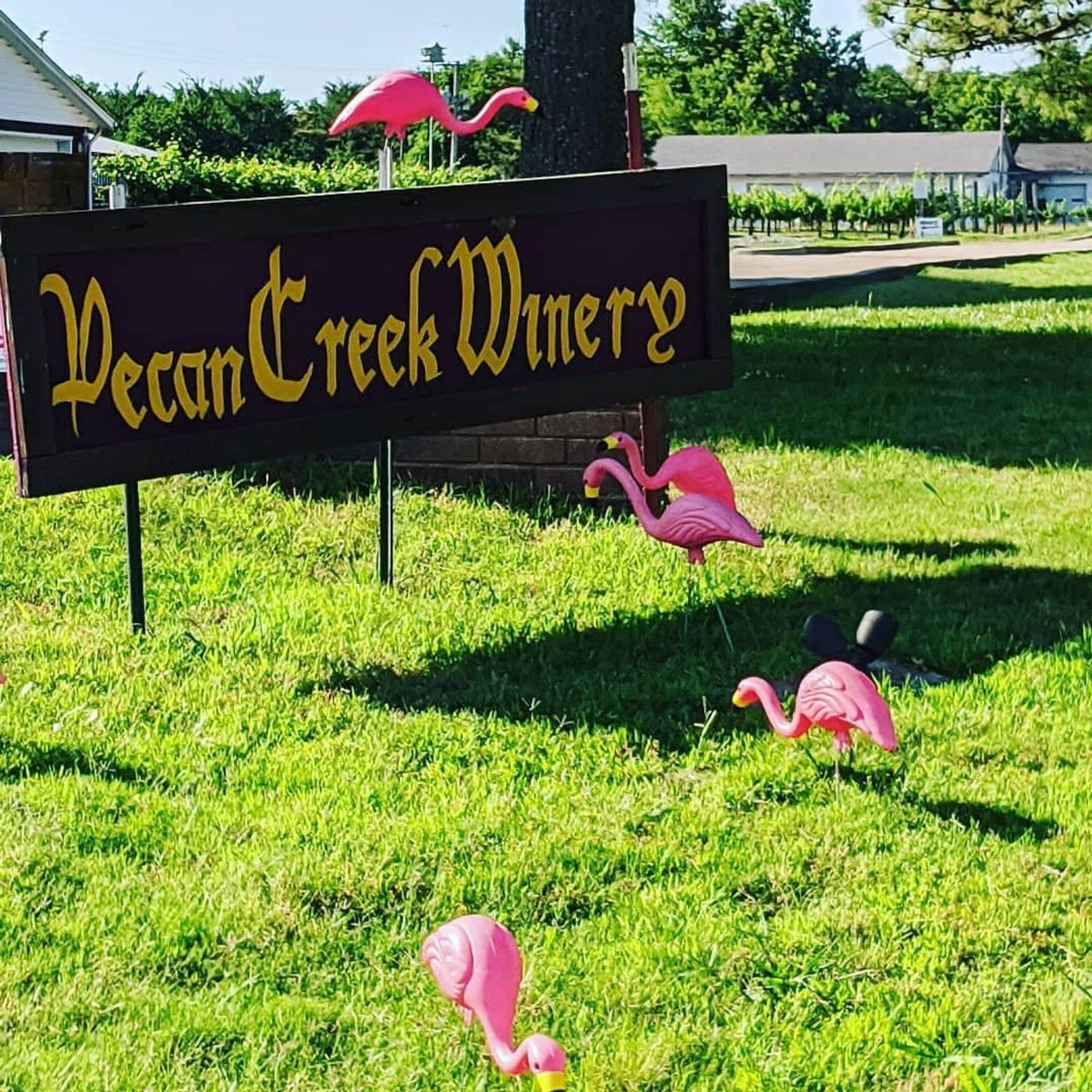 Pecan Creek Winery - Muskogee, OK Pt. 2 Pecan Creek Winery - Muskogee, OK Pt. 2