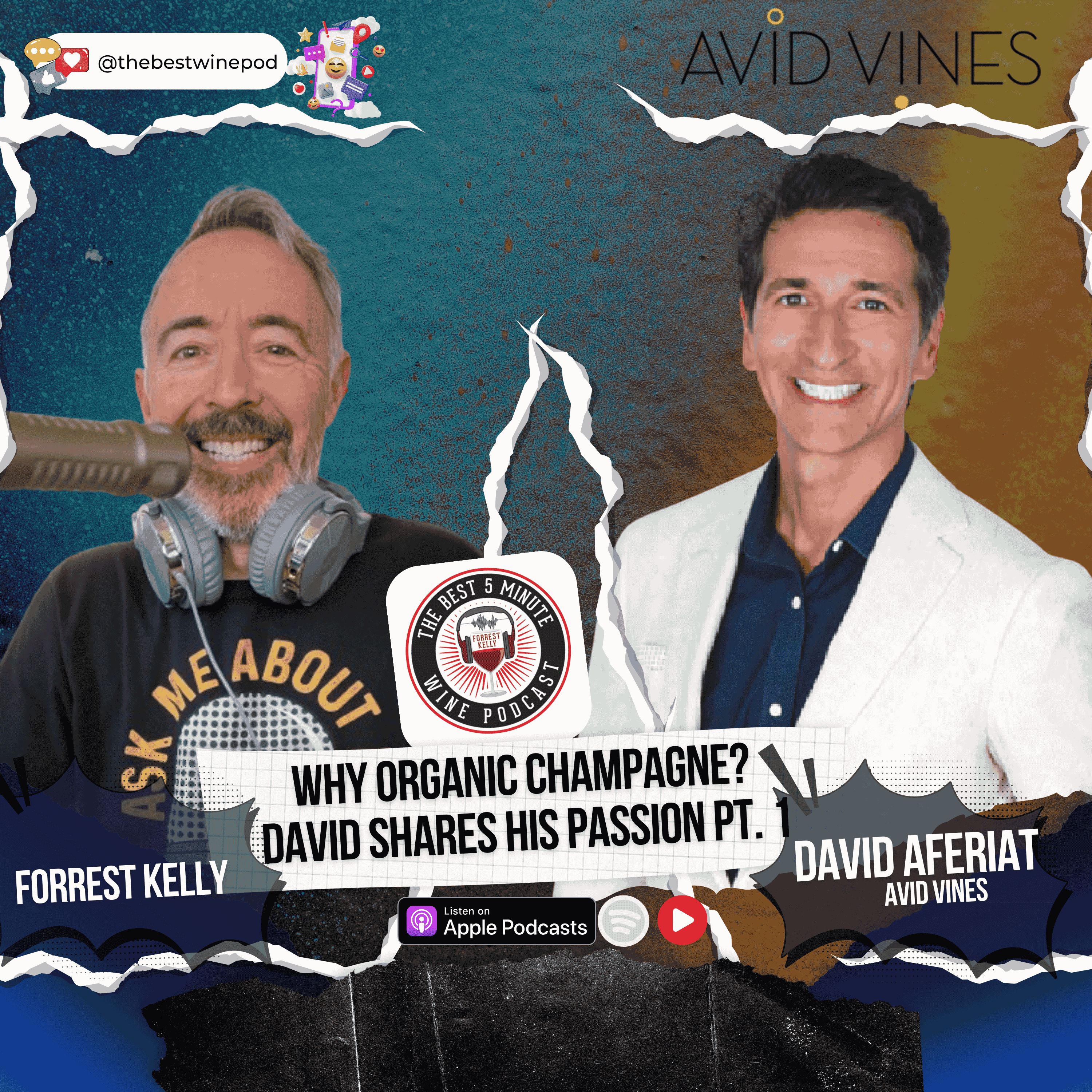 Why Organic Champagne? David Shares His Passion Pt. 1 Why Organic Champagne? David Shares His Passion Pt. 1
