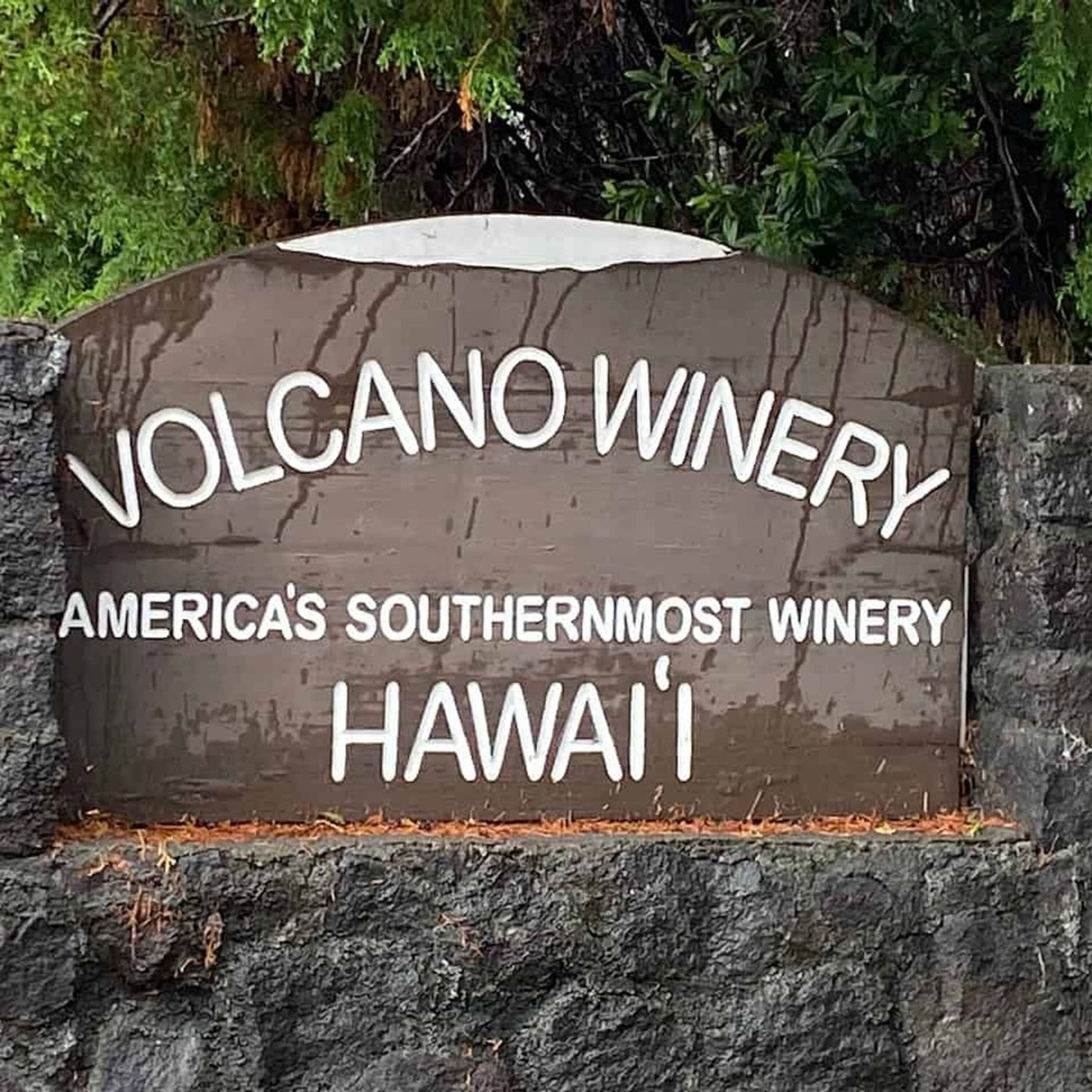 Discovering Hawaiian Pinot Noir: A Journey to Volcano Winery - Pt. 2 Discovering Hawaiian Pinot Noir: A Journey to Volcano Winery - Pt. 2