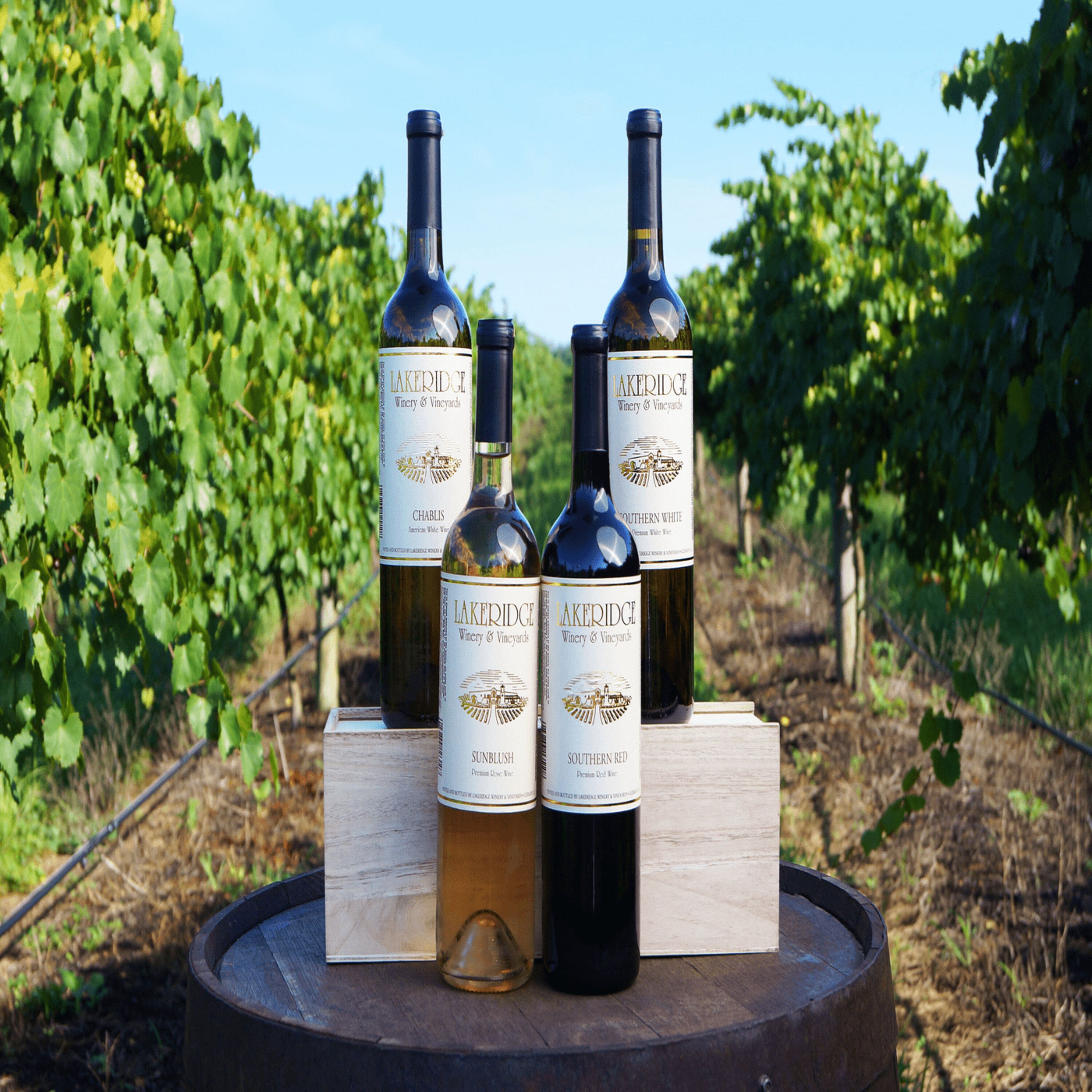 Lakeridge Winery & Vineyards - Clermont, FL Pt. 2 Lakeridge Winery & Vineyards - Clermont, FL Pt. 2