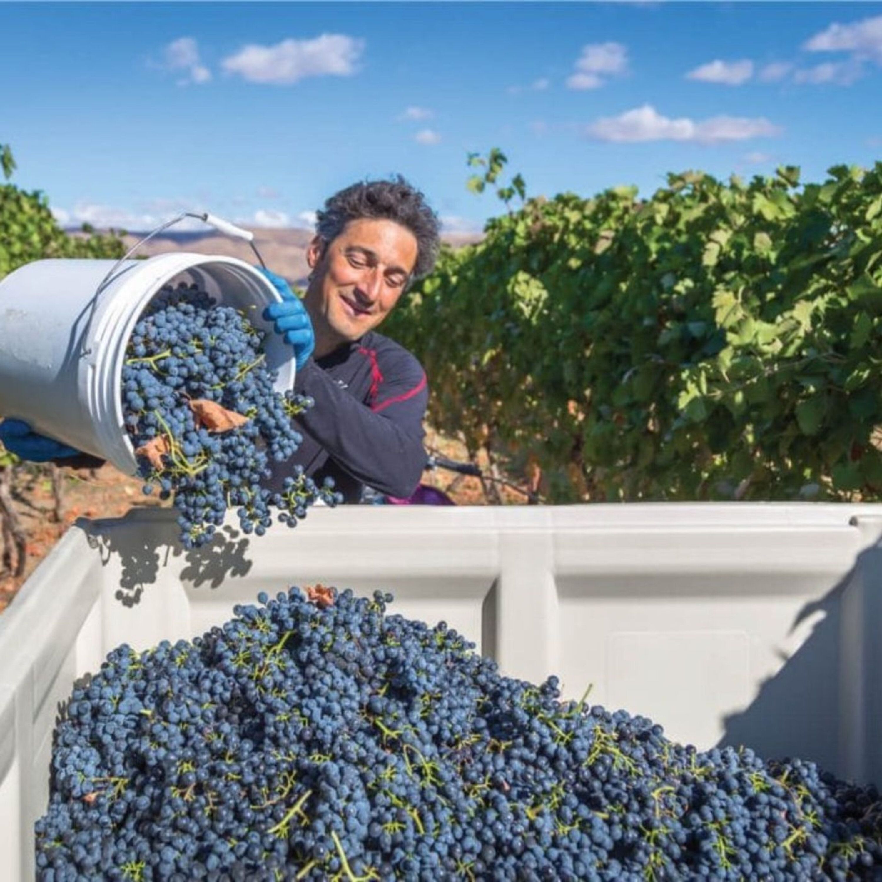 Clearwater Canyon Cellars - Lewiston, ID Pt. 2 Clearwater Canyon Cellars - Lewiston, ID Pt. 2